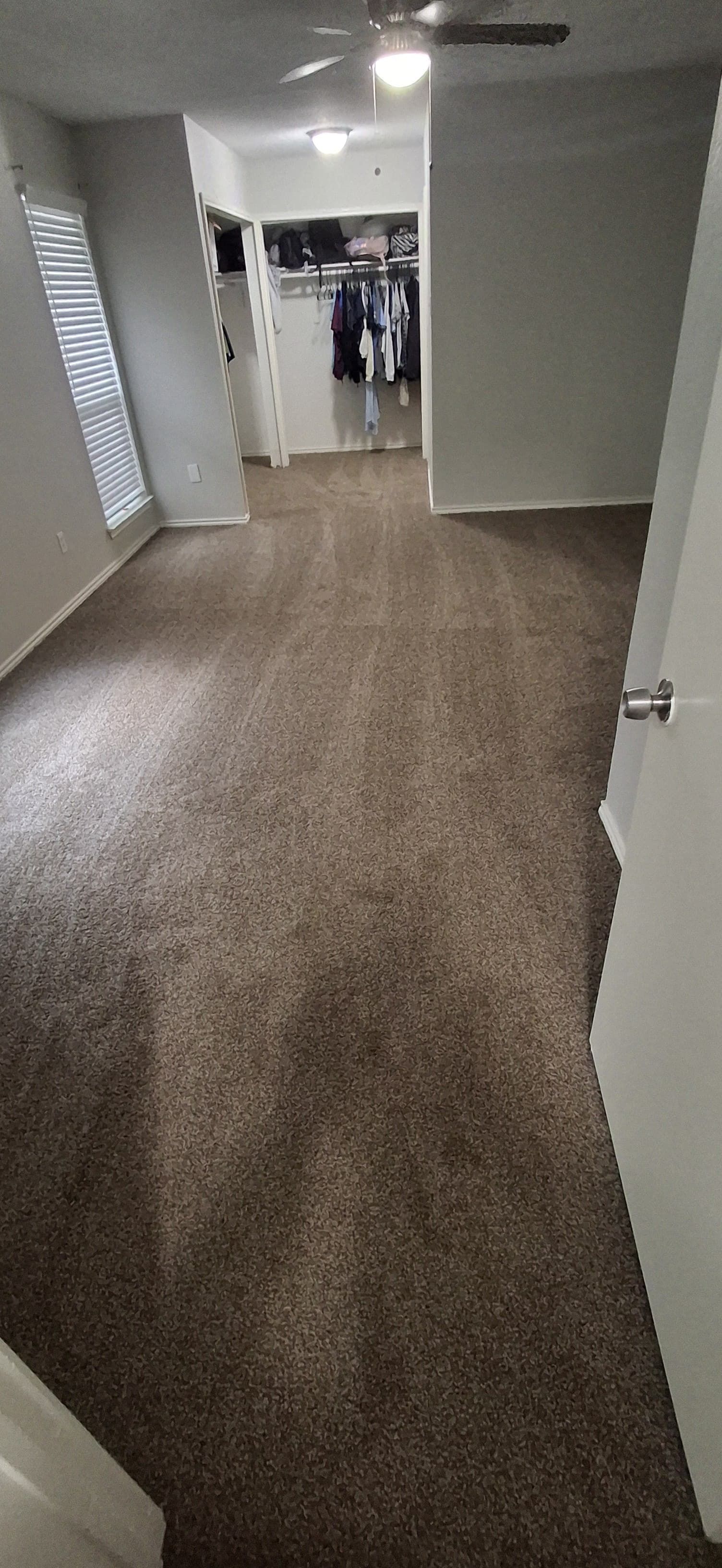 Bedroom with brown carpet, walk-in closet, and a ceiling fan.