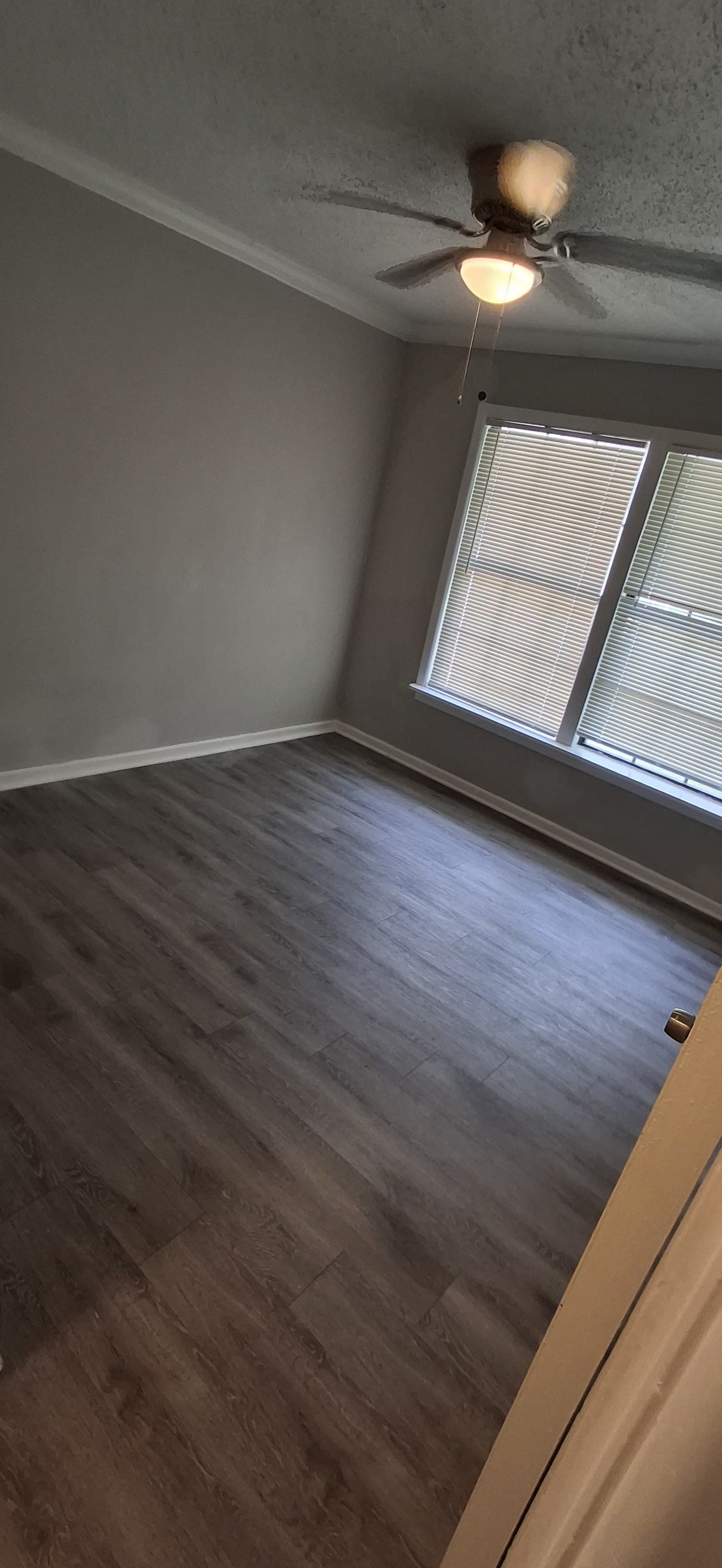 Empty room with gray walls, wood-look flooring, ceiling fan, and window with blinds.