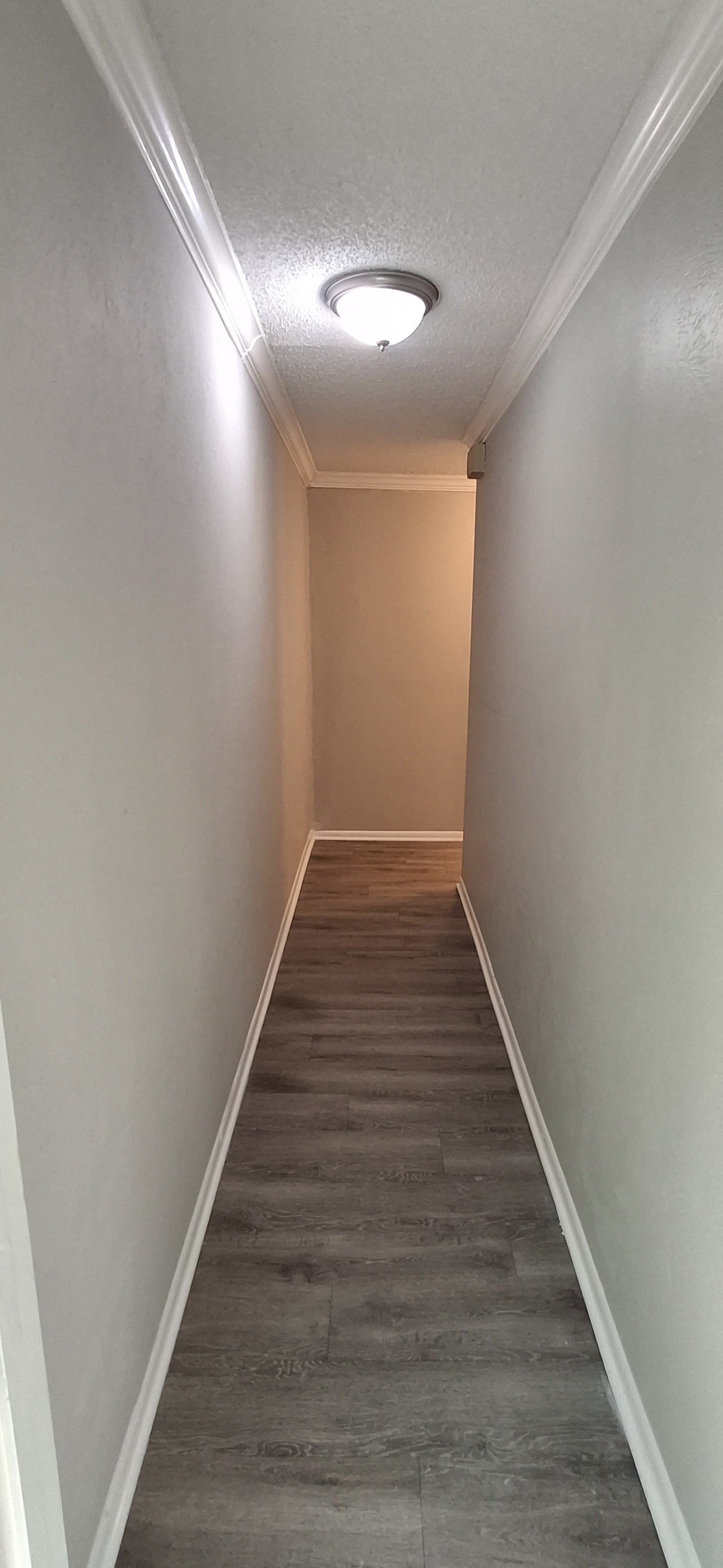 Narrow hallway with gray walls, wood-look floor, and a light fixture.