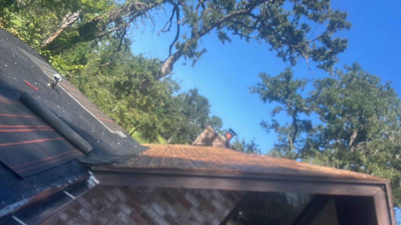 Roof of a house with visible shingles, brown trim, and a blue sky with trees in the background.