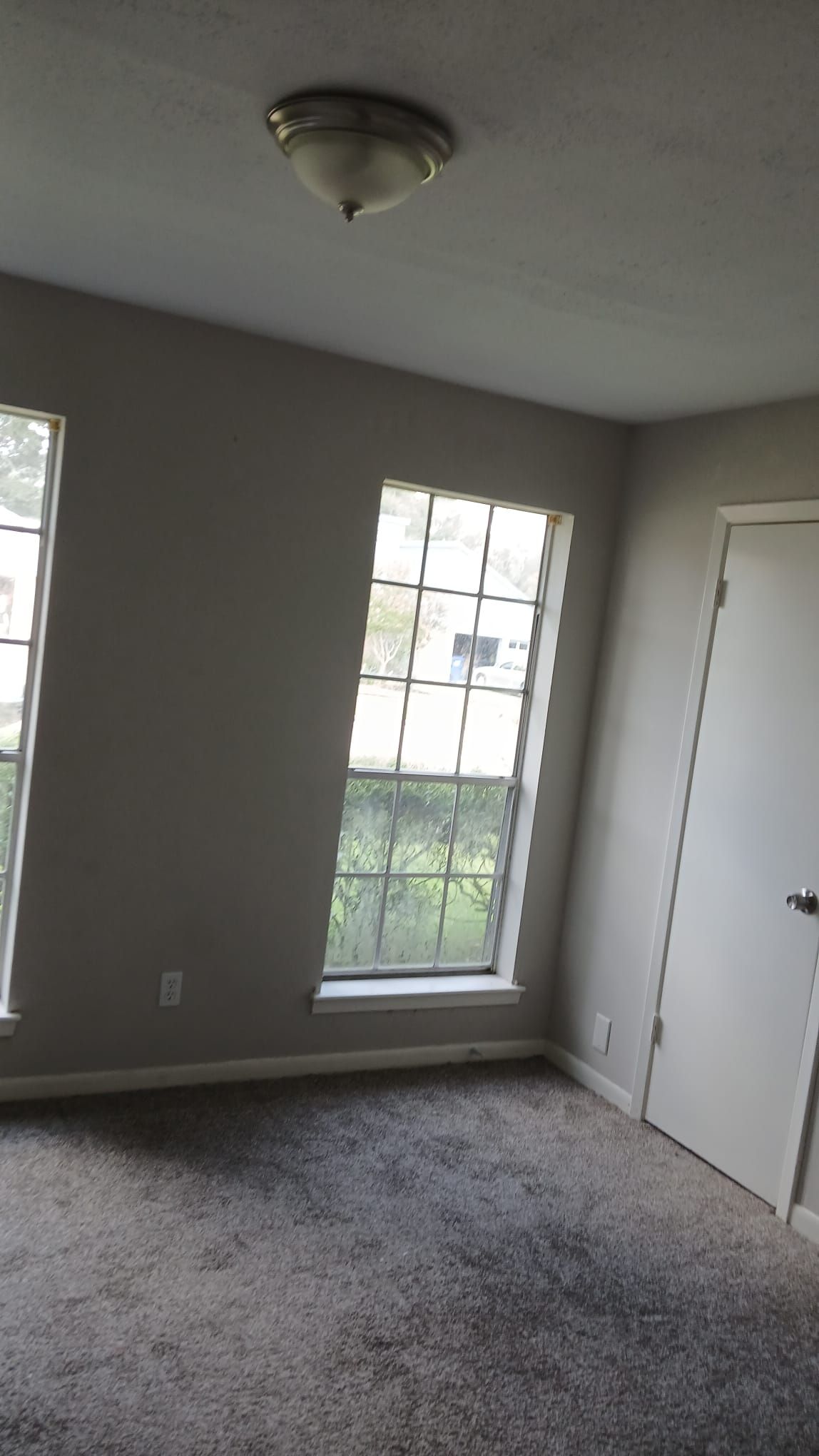 Empty room with gray walls, two windows, and dark carpet.