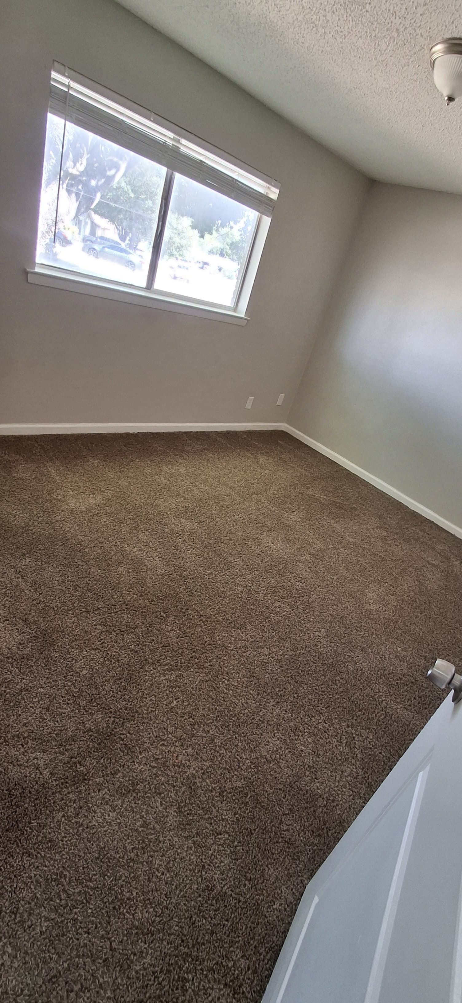Empty room with a window, tan carpet, and white walls.
