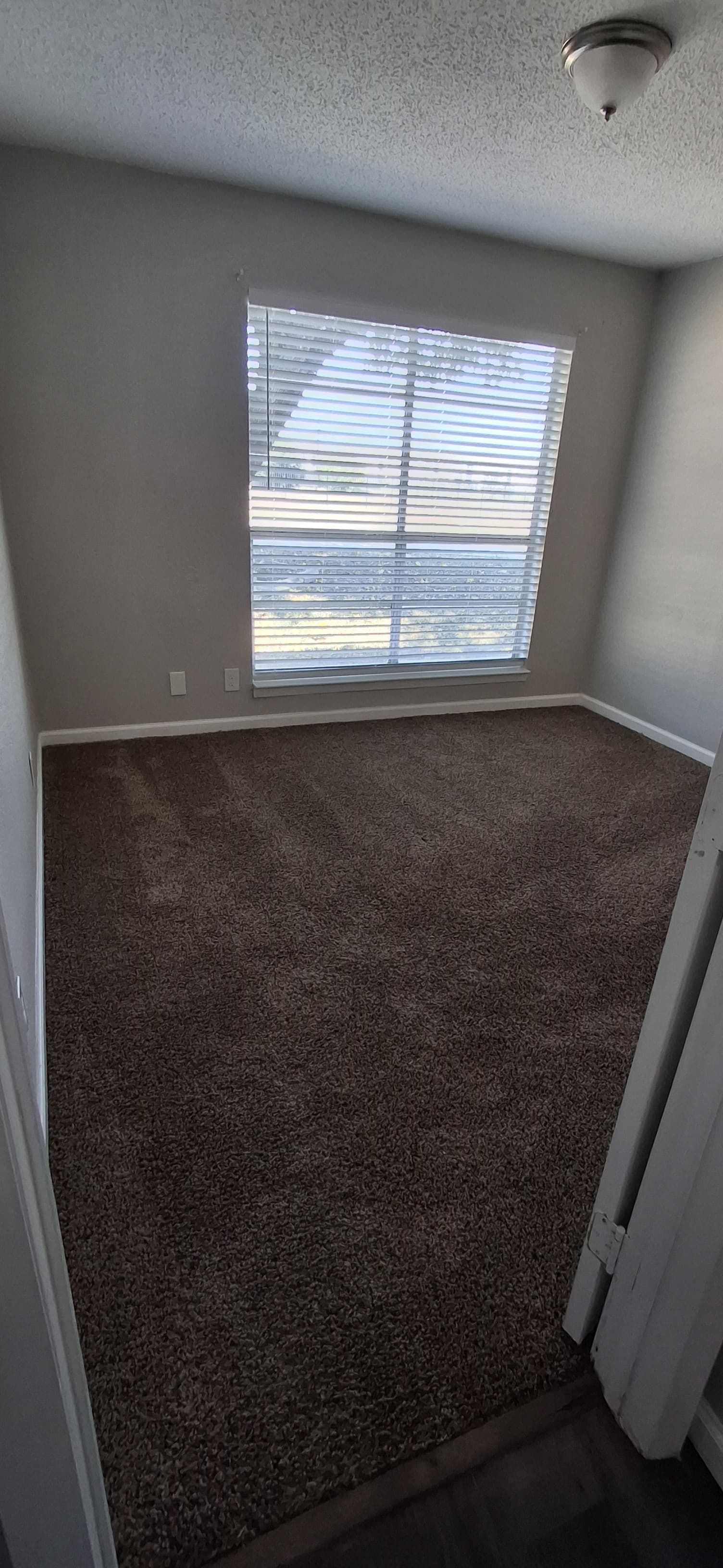 Empty room with brown carpet, blinds on window, and a ceiling light.
