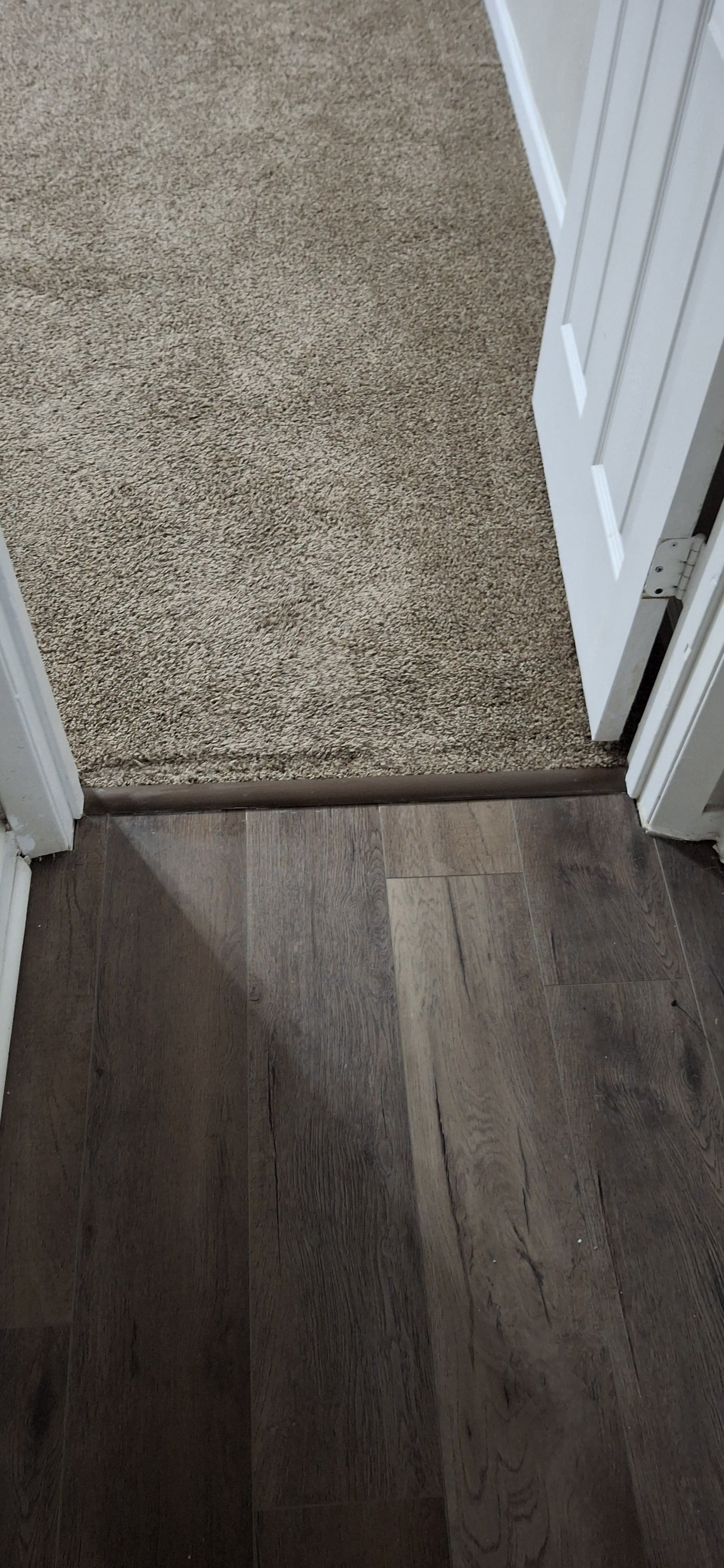 Dark wood flooring transitions to tan carpeted flooring, with white door frames.