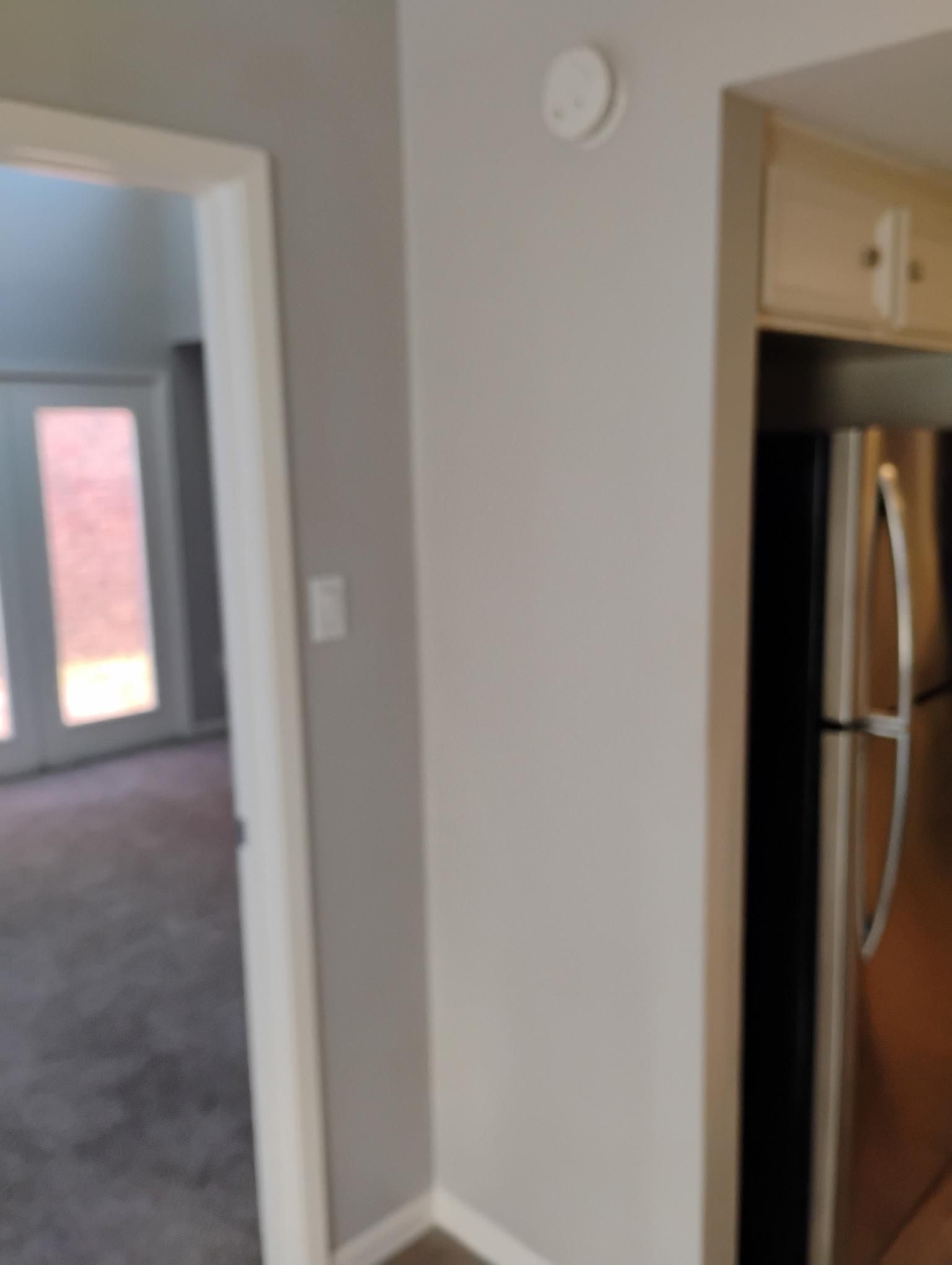 Interior view: doorway to a room with carpet, a refrigerator, light gray walls, and a smoke detector.