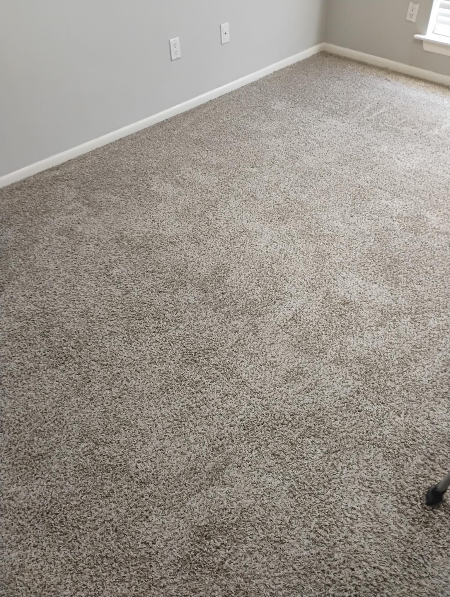 A room with light gray walls, white trim, and a thick, speckled gray carpet.