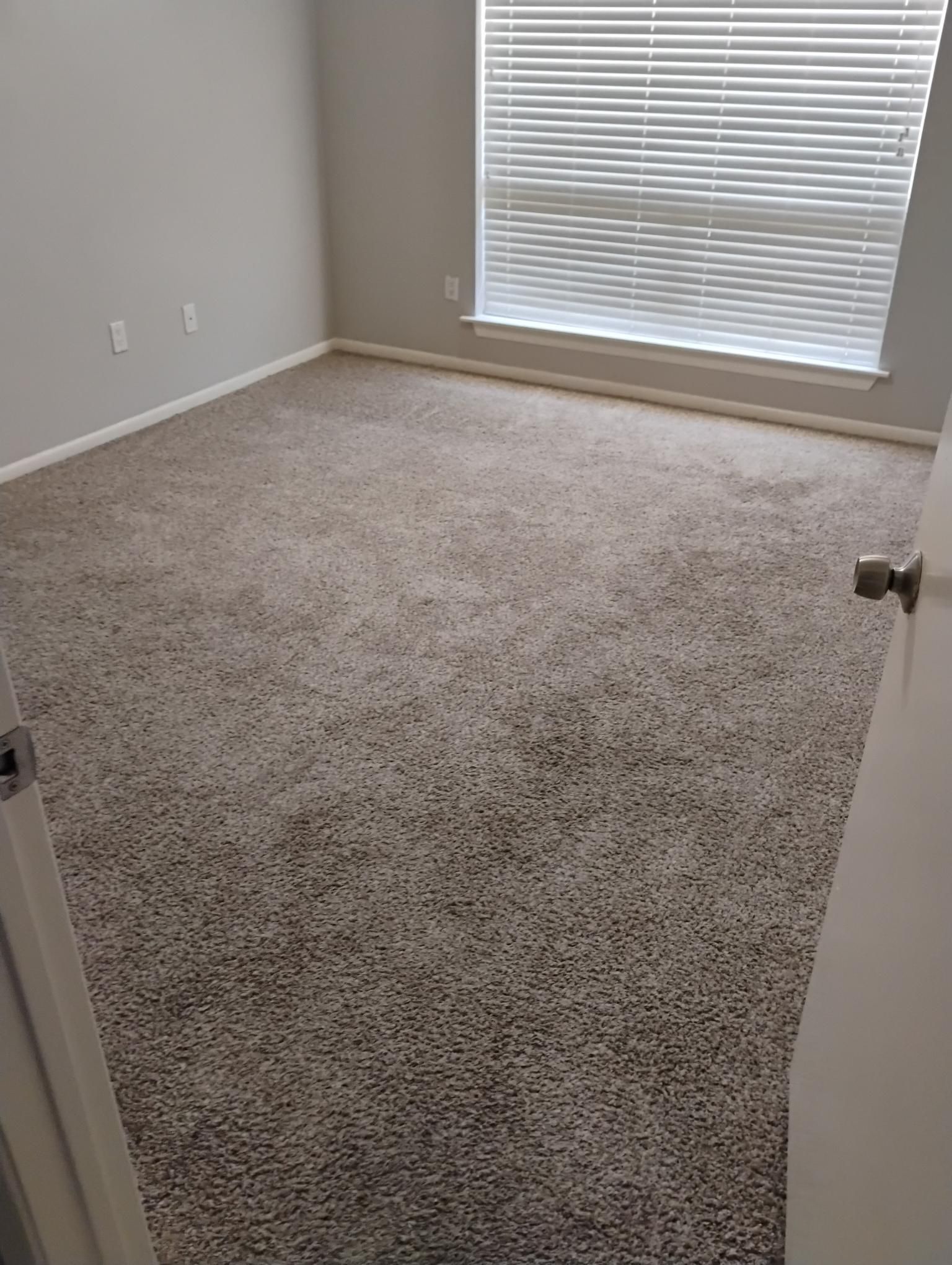 Empty room with gray walls, beige carpet, window with blinds, and open white door.