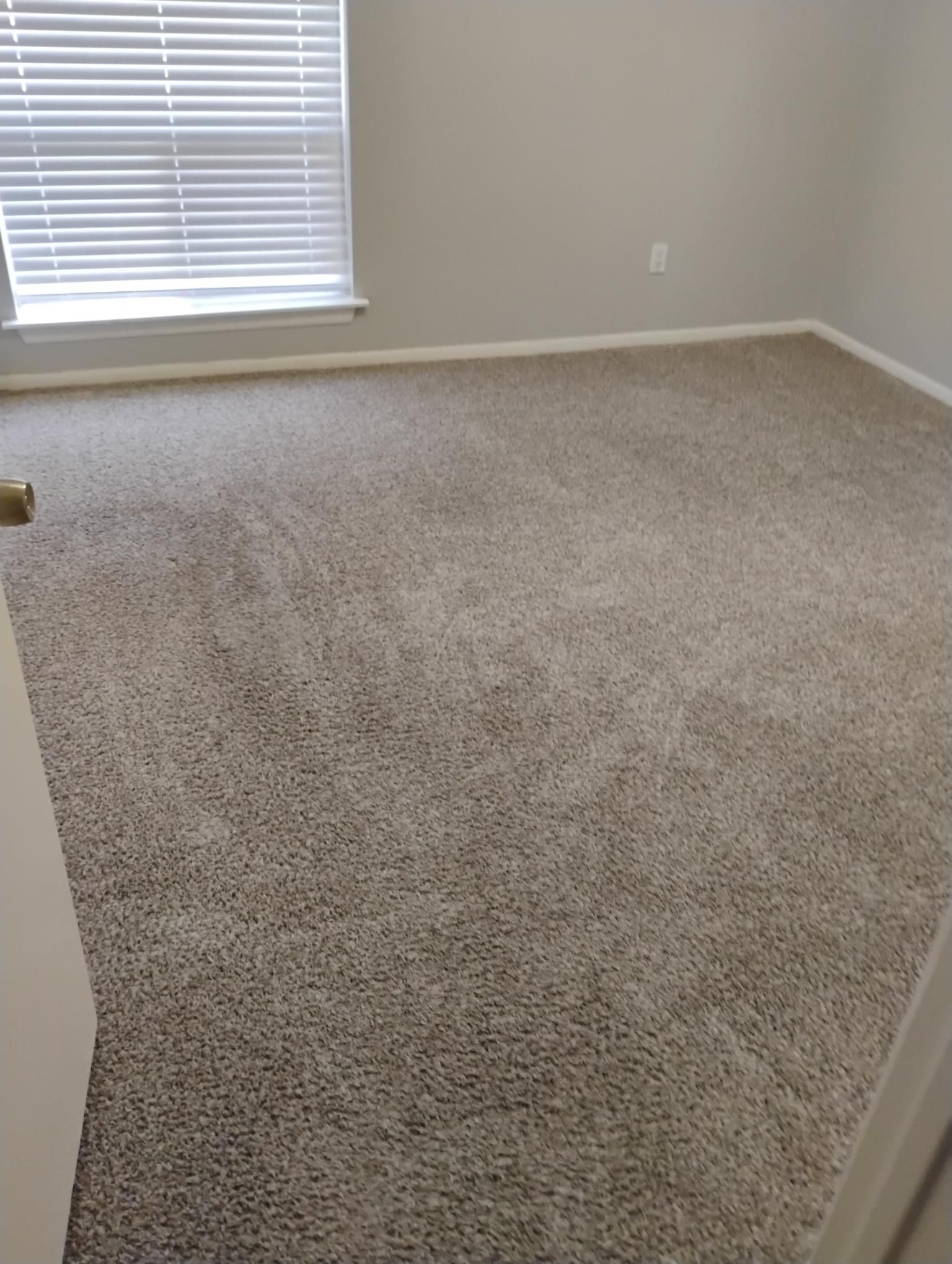 Empty room with neutral-colored carpet and blinds on a window. Walls are light gray.