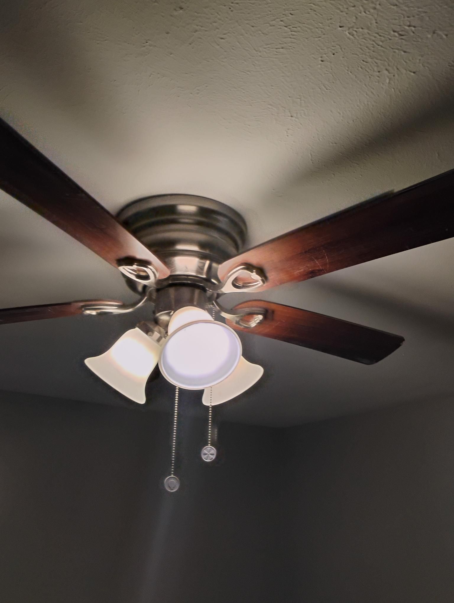 Ceiling fan with dark wooden blades, three lights, and pull chains.