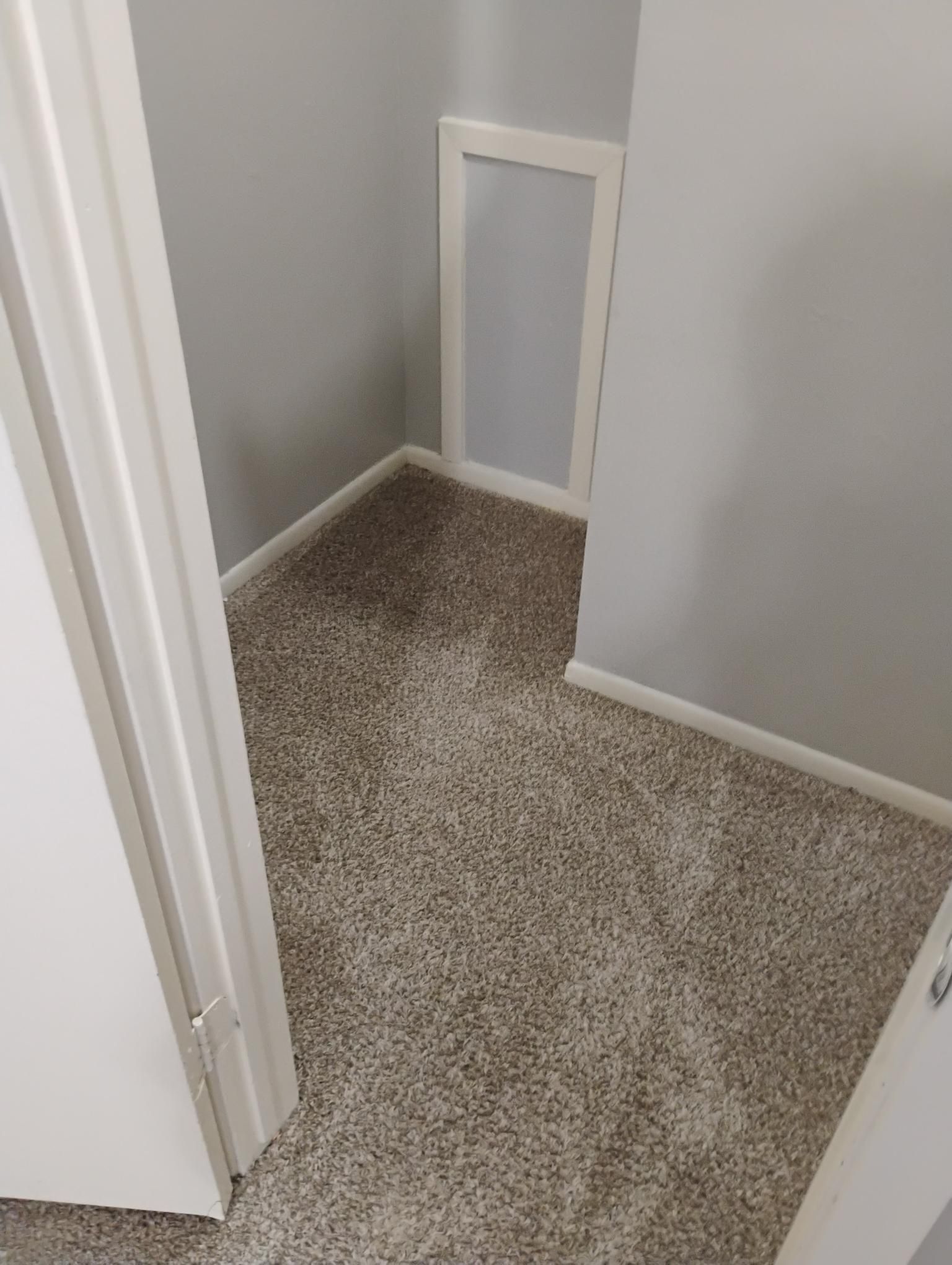 Small closet with gray walls, white trim, and light brown carpet.
