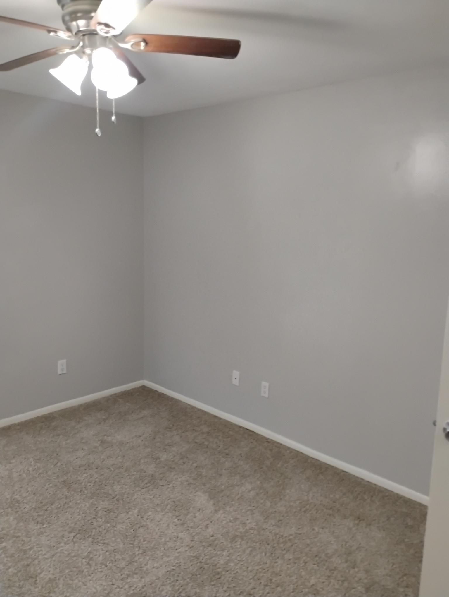 Empty bedroom with gray walls, beige carpet, and a ceiling fan.