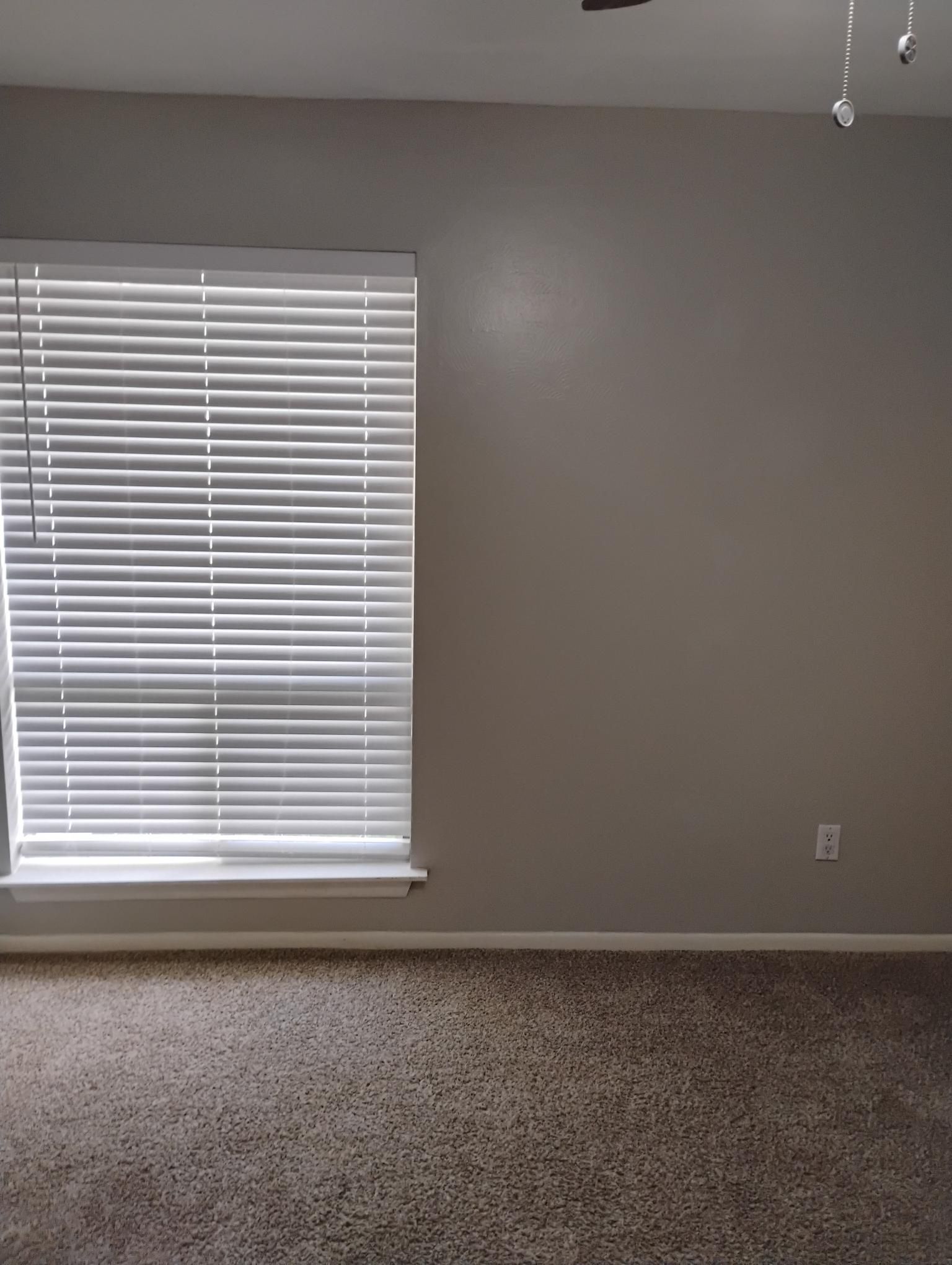 Interior view of a room with a closed window and neutral-colored walls, brown carpet.