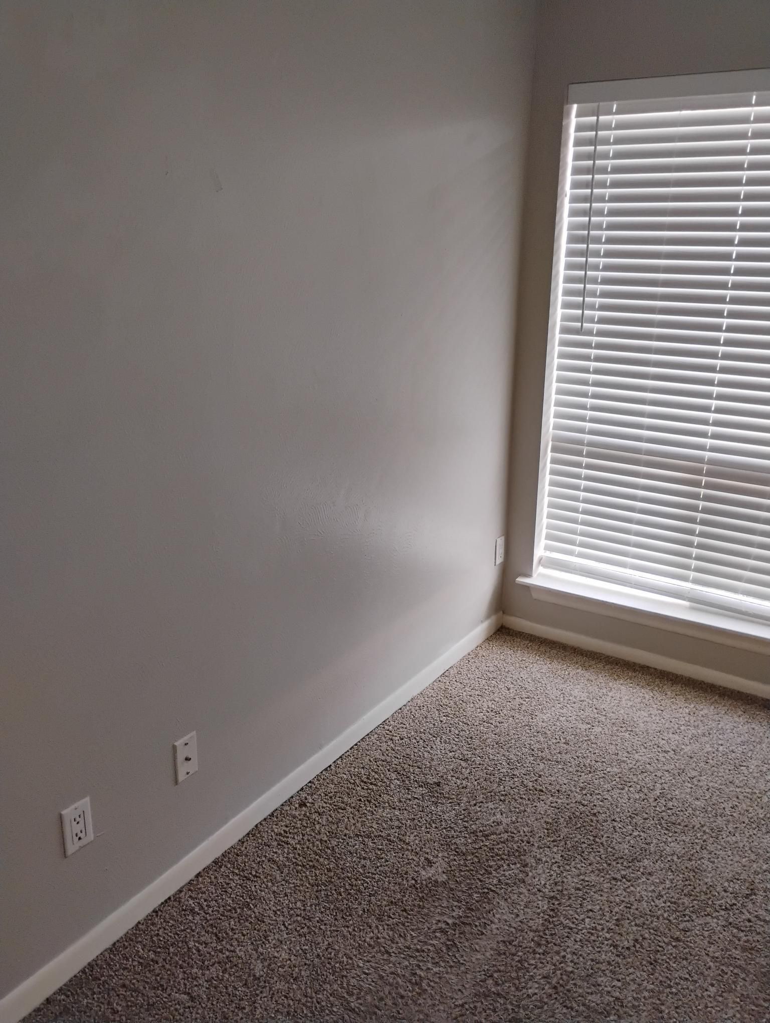 Empty room with gray walls, beige carpet, and a window with closed blinds.