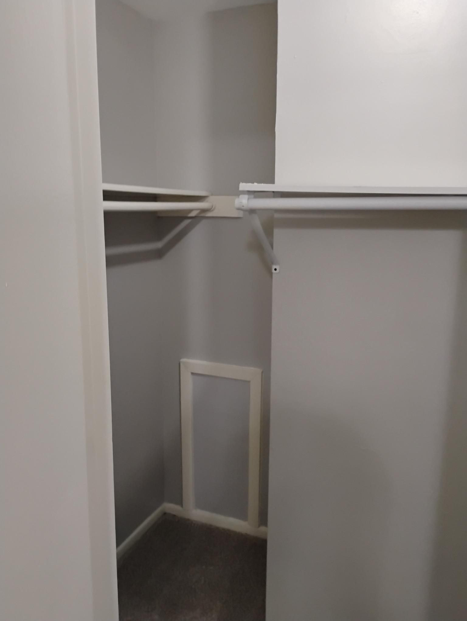 Empty closet with gray walls, white shelves, and carpeted floor.