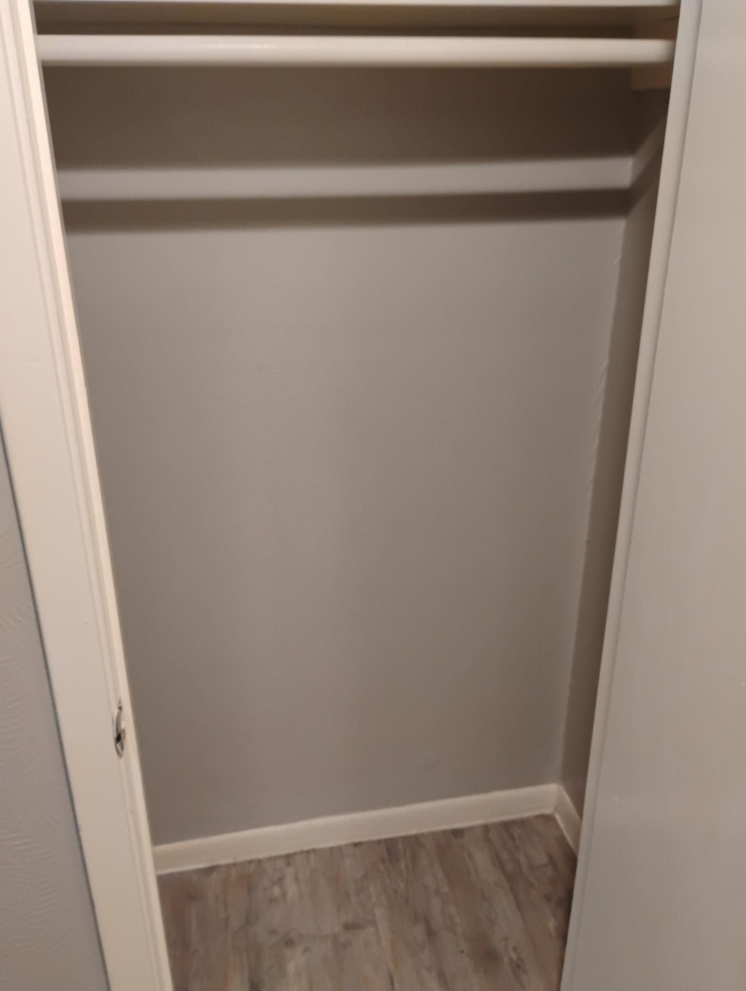 Empty closet with clothes rod and shelf; gray walls, white trim, and wood-look floor.