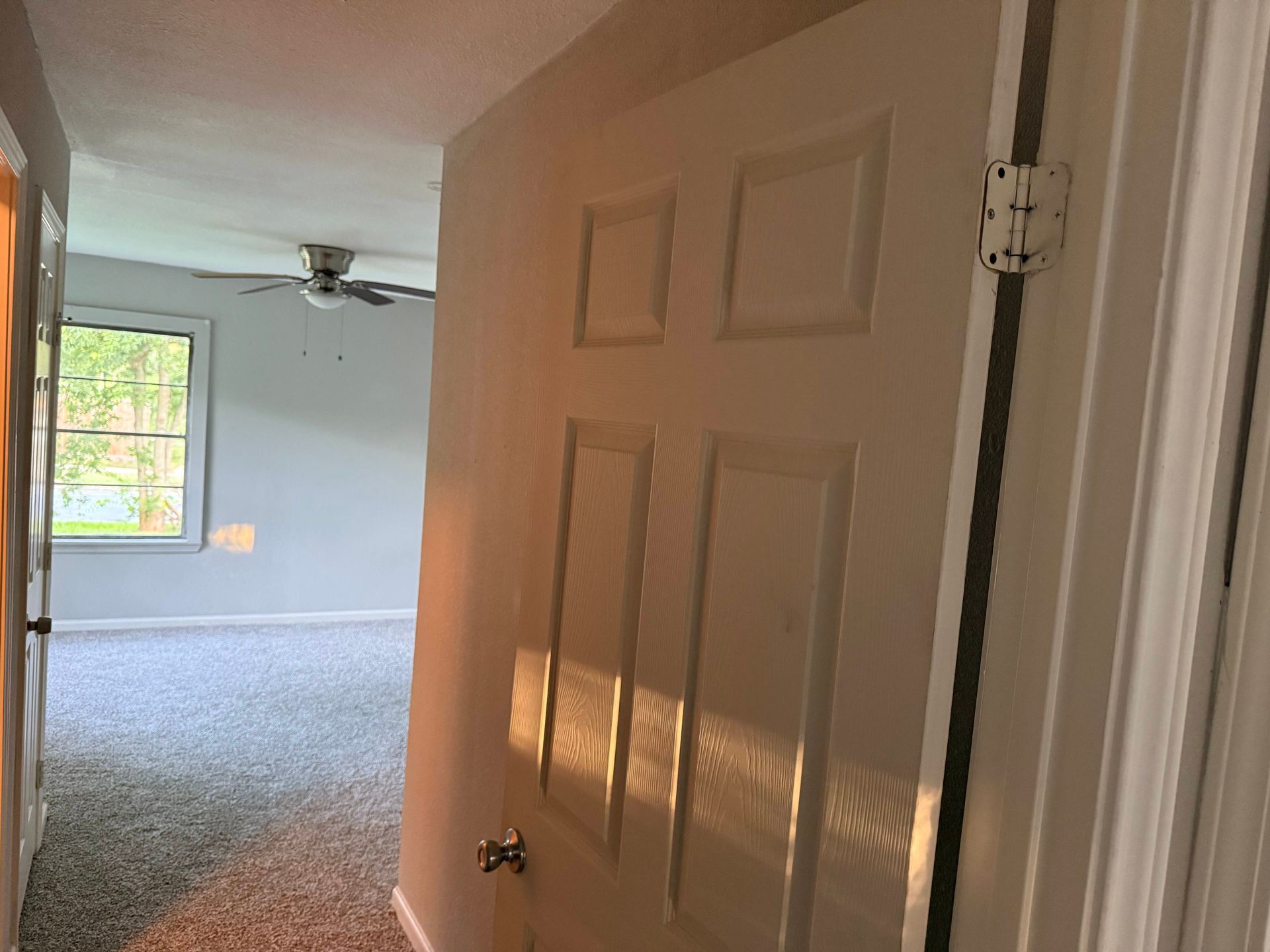 Hallway view into a bedroom with a closed white door. Sunlight illuminates the door and a window.