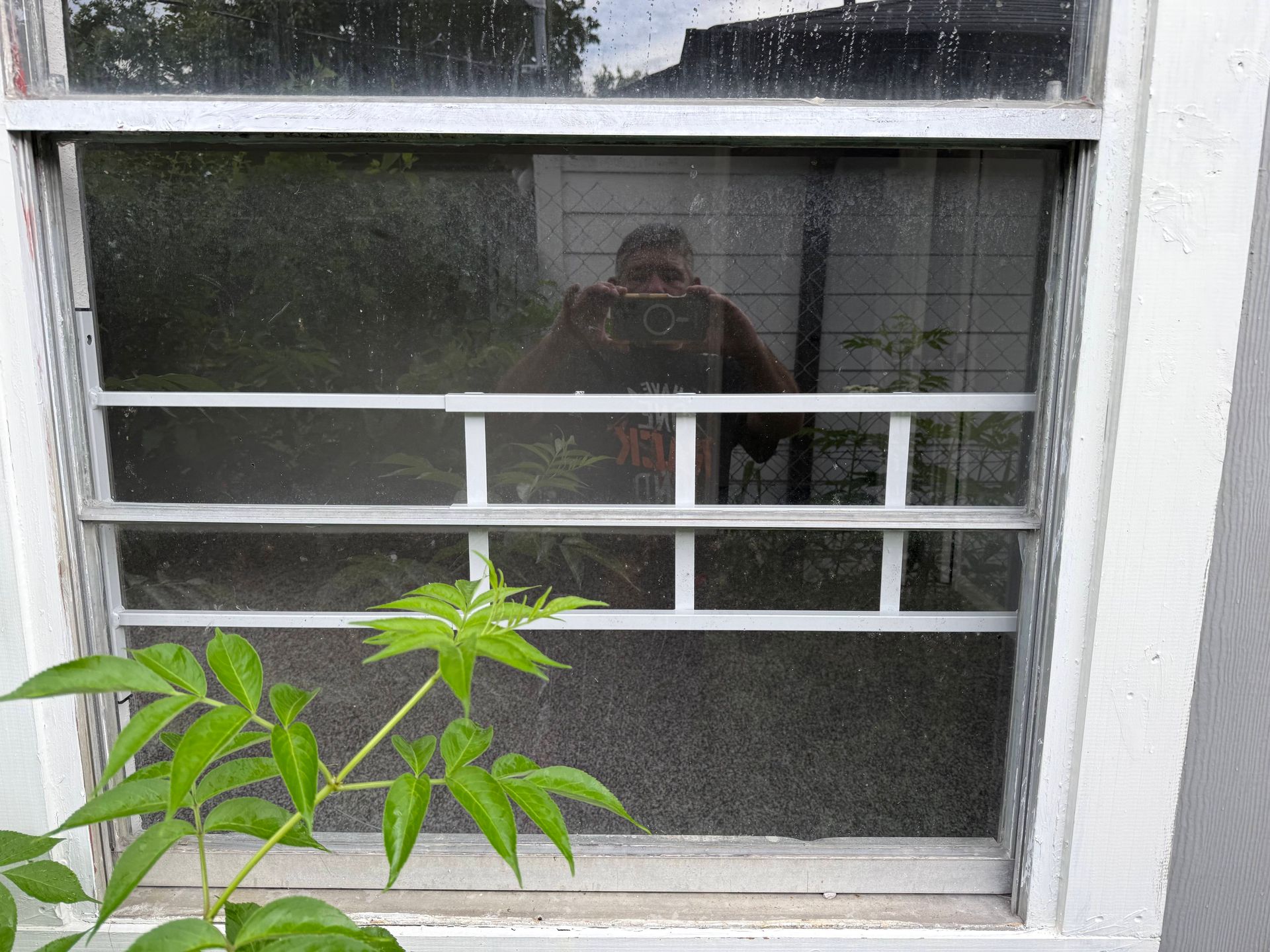 Window with security bars, screen, and reflection of a person. Green plant in the foreground.