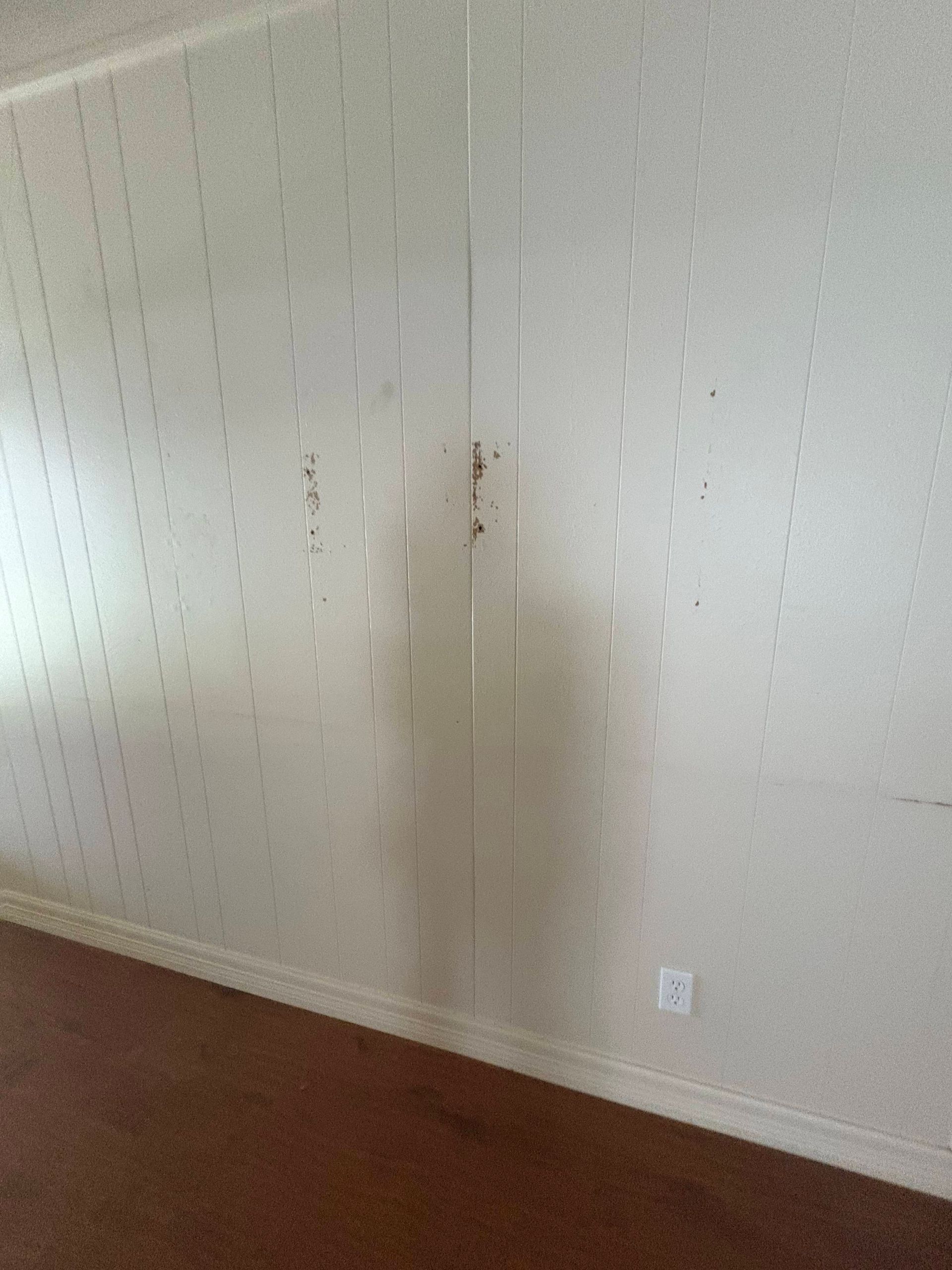 White paneled wall with water stains, electrical outlet on the lower right, and a brown floor.