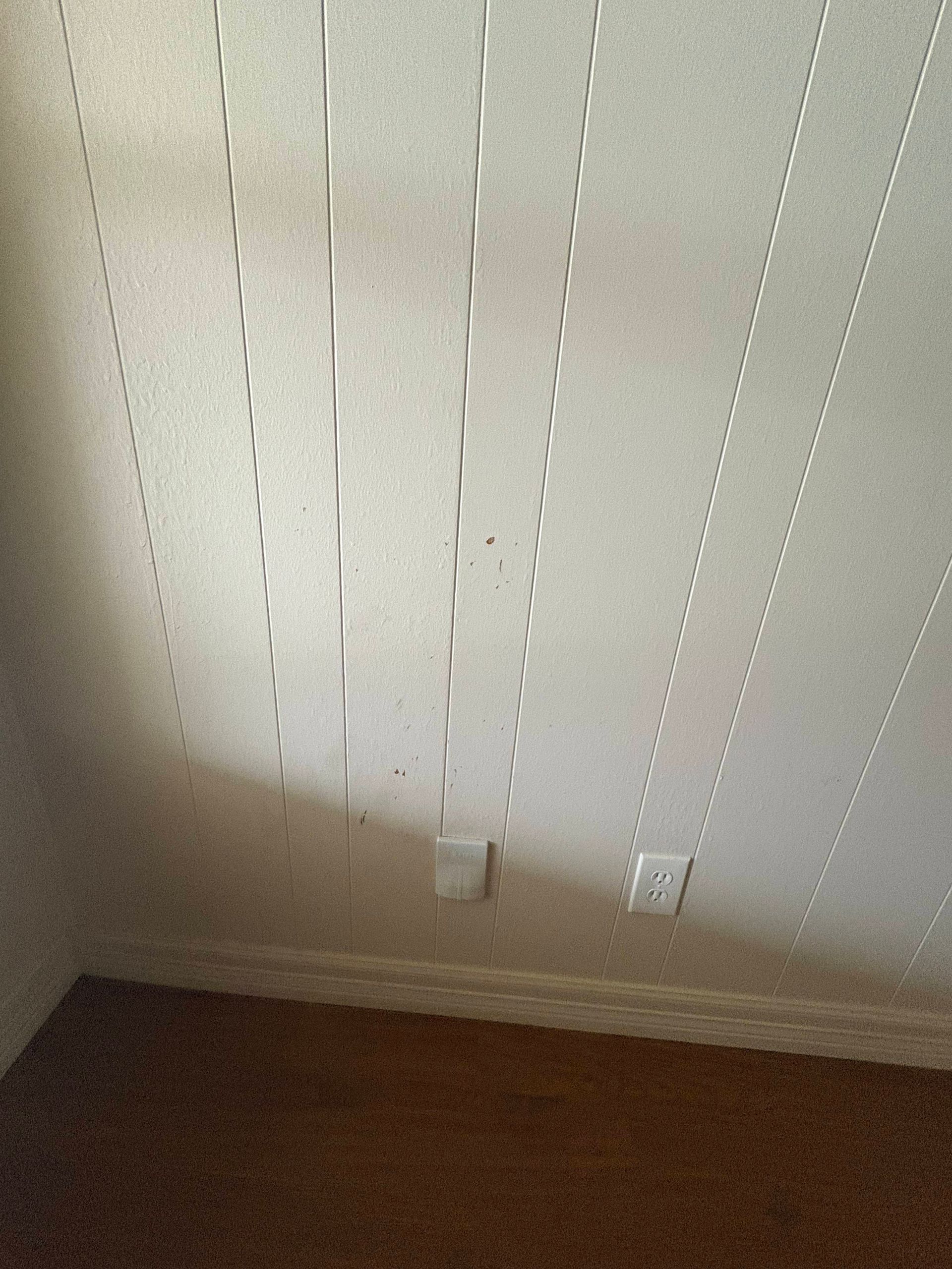 White paneled wall with vertical silver strips, two electrical outlets, and brown carpet.