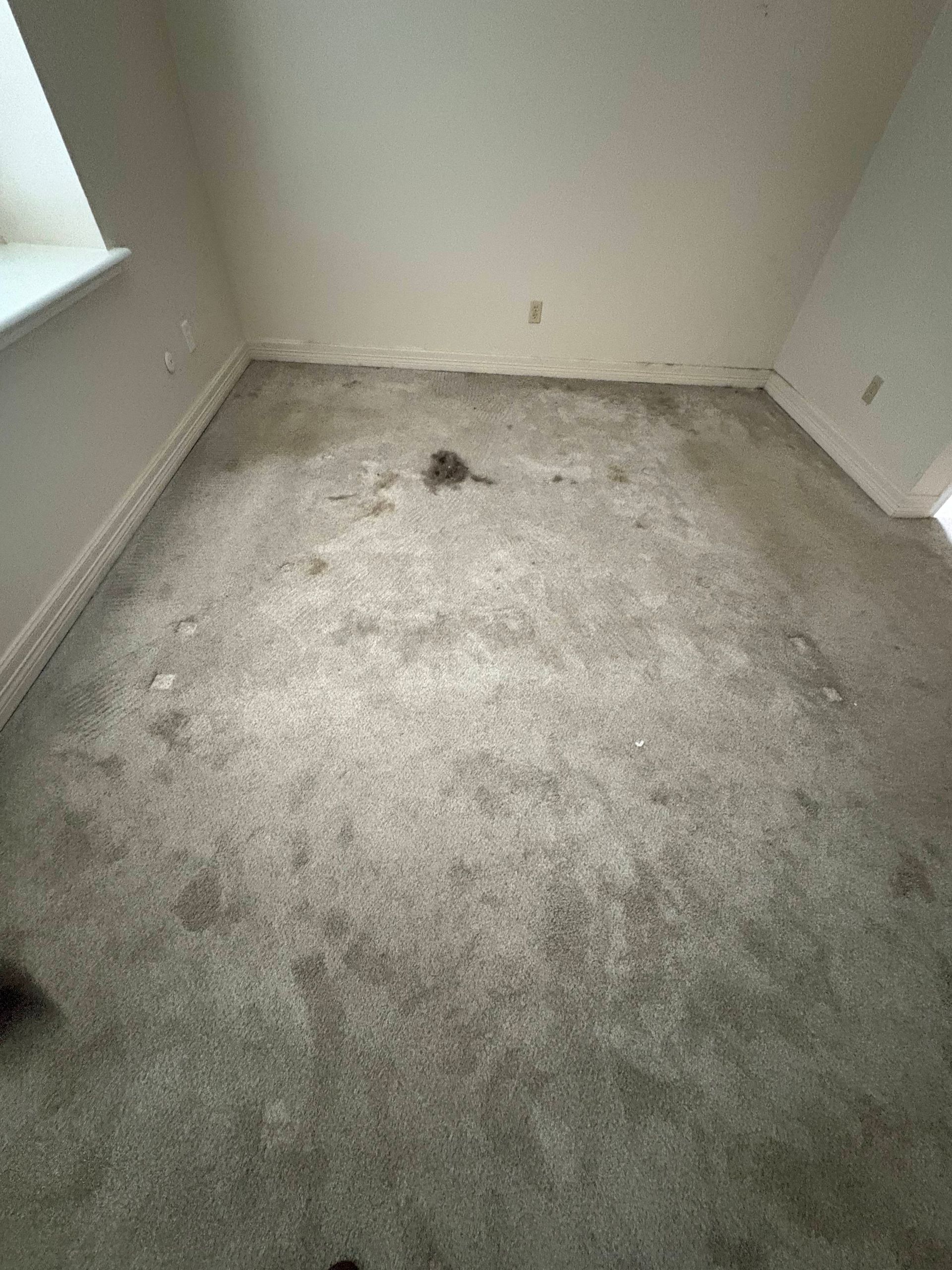A dirty carpeted room with light-colored walls and a window.