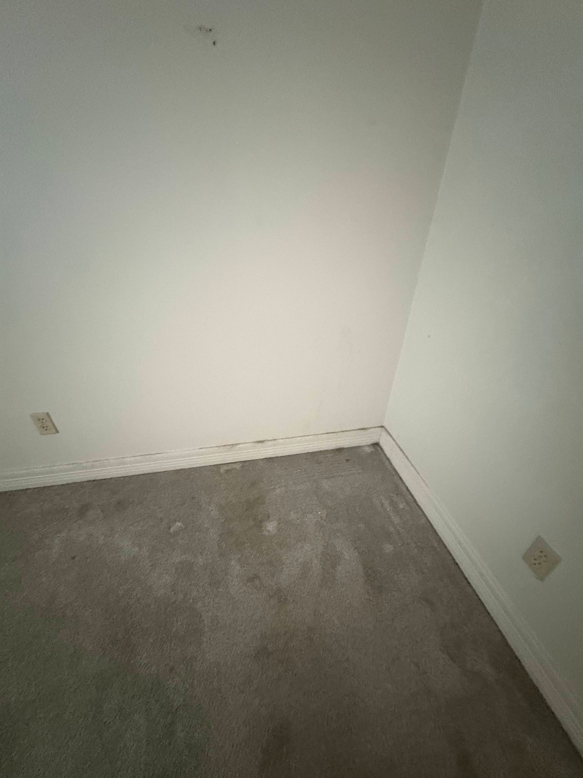 Corner of a room with white walls, gray carpet, and two electrical outlets.