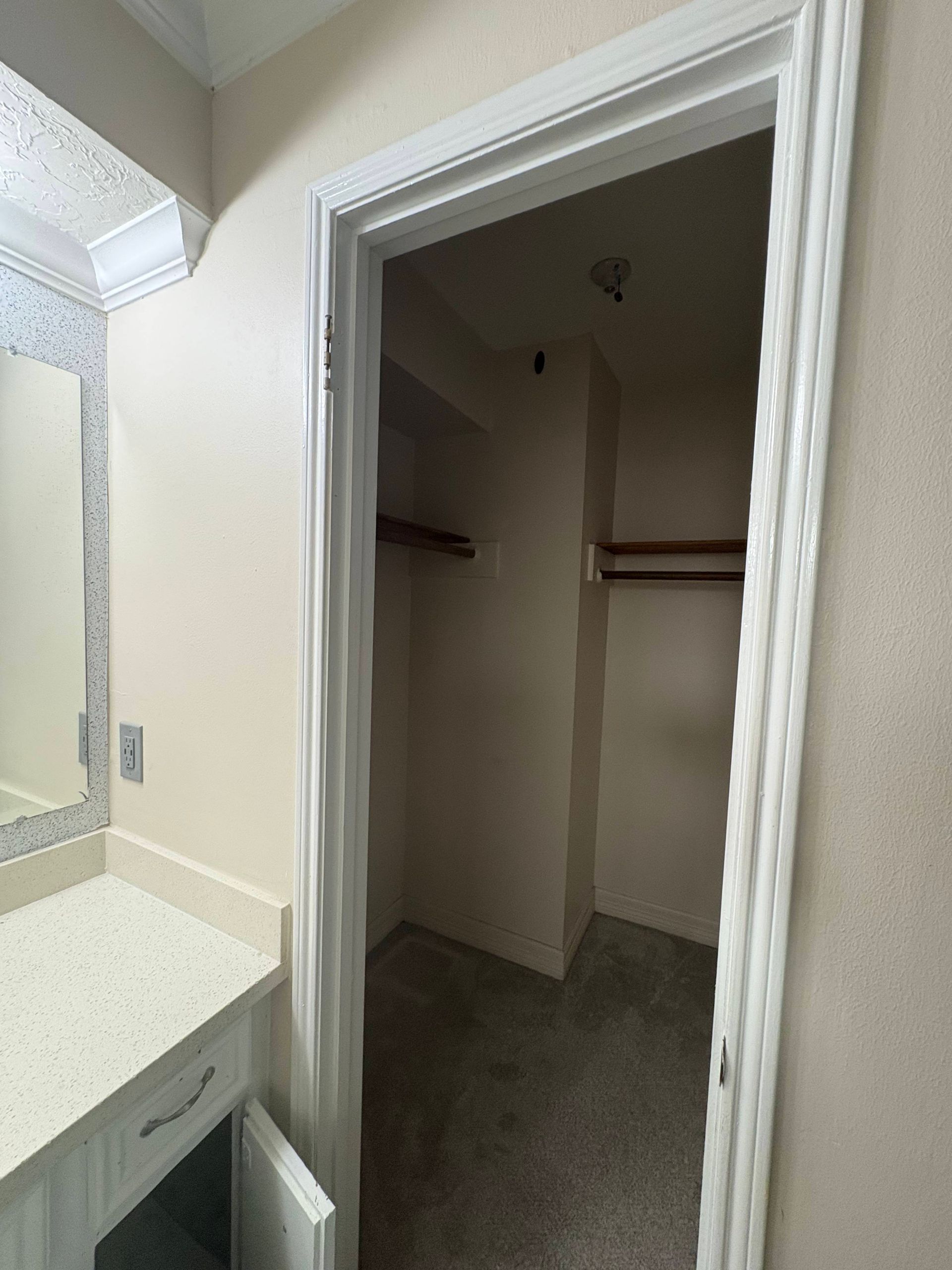 Walk-in closet with two sections, light walls, carpet, and a wooden rod; bathroom vanity visible in the corner.