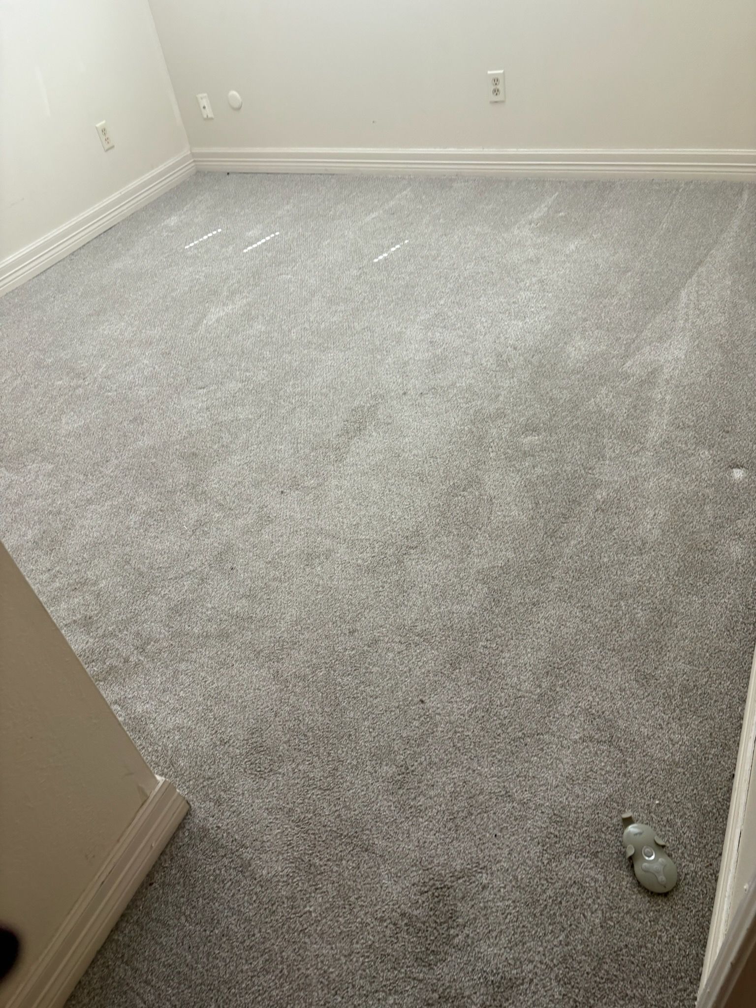 Gray carpet in an empty room, white walls.