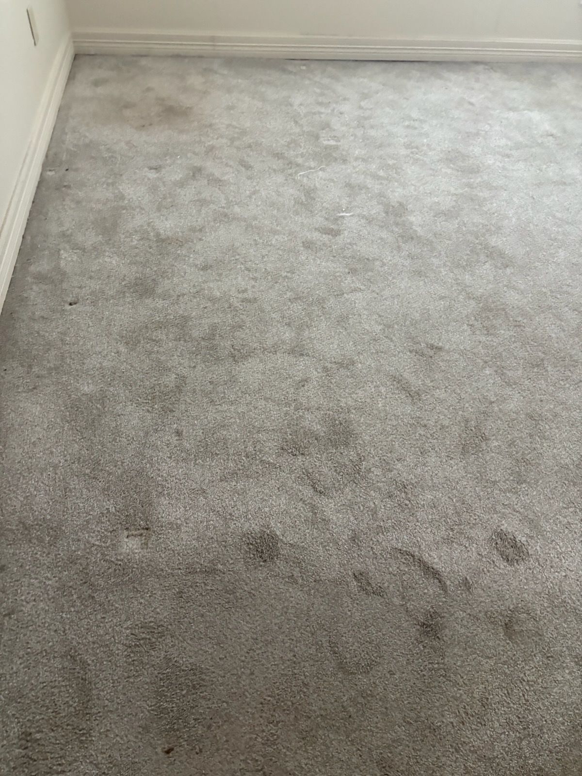 Dirty gray carpet in a room.
