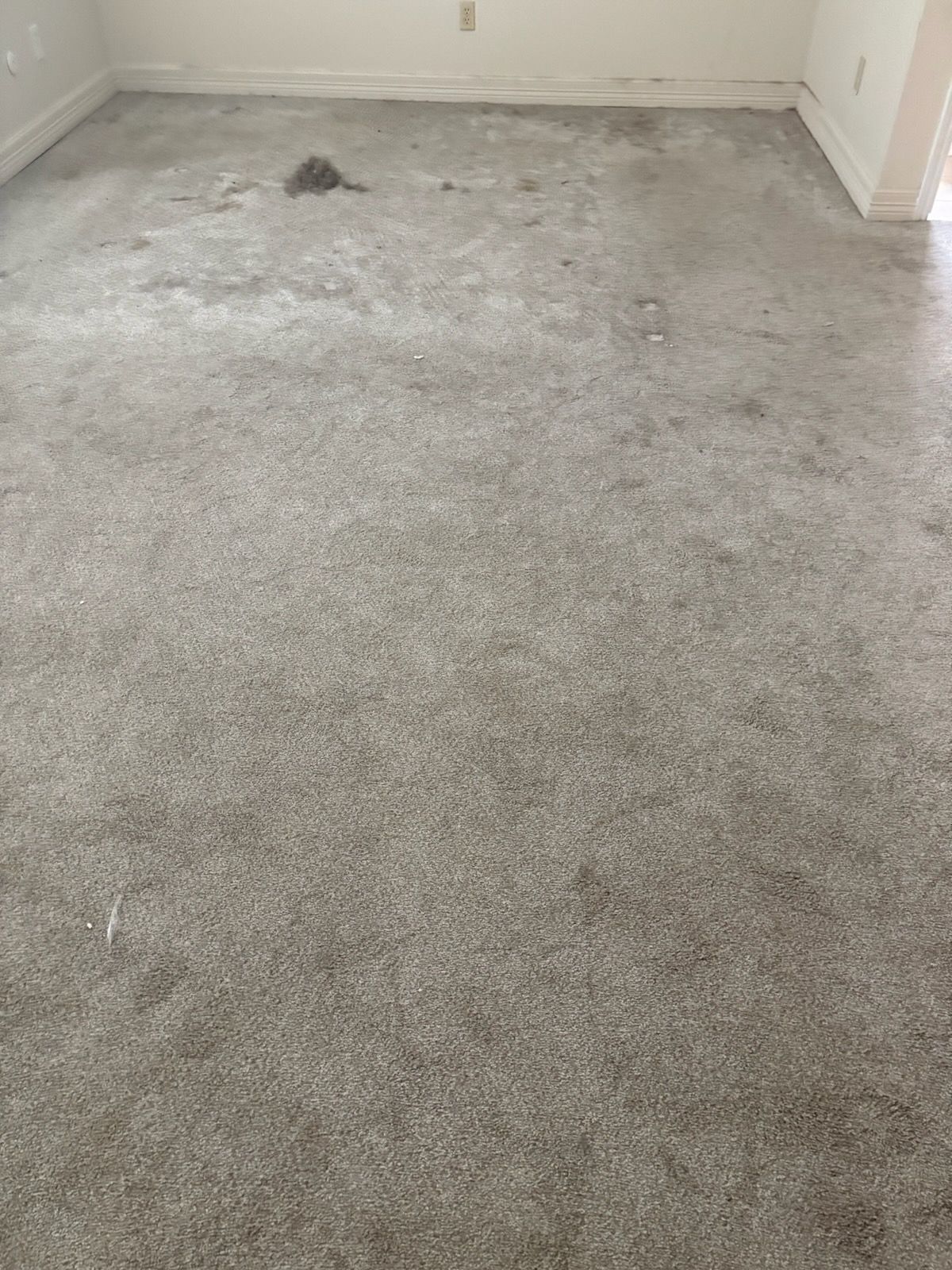 Dirty, gray carpet in a room with white trim, possibly requiring cleaning.
