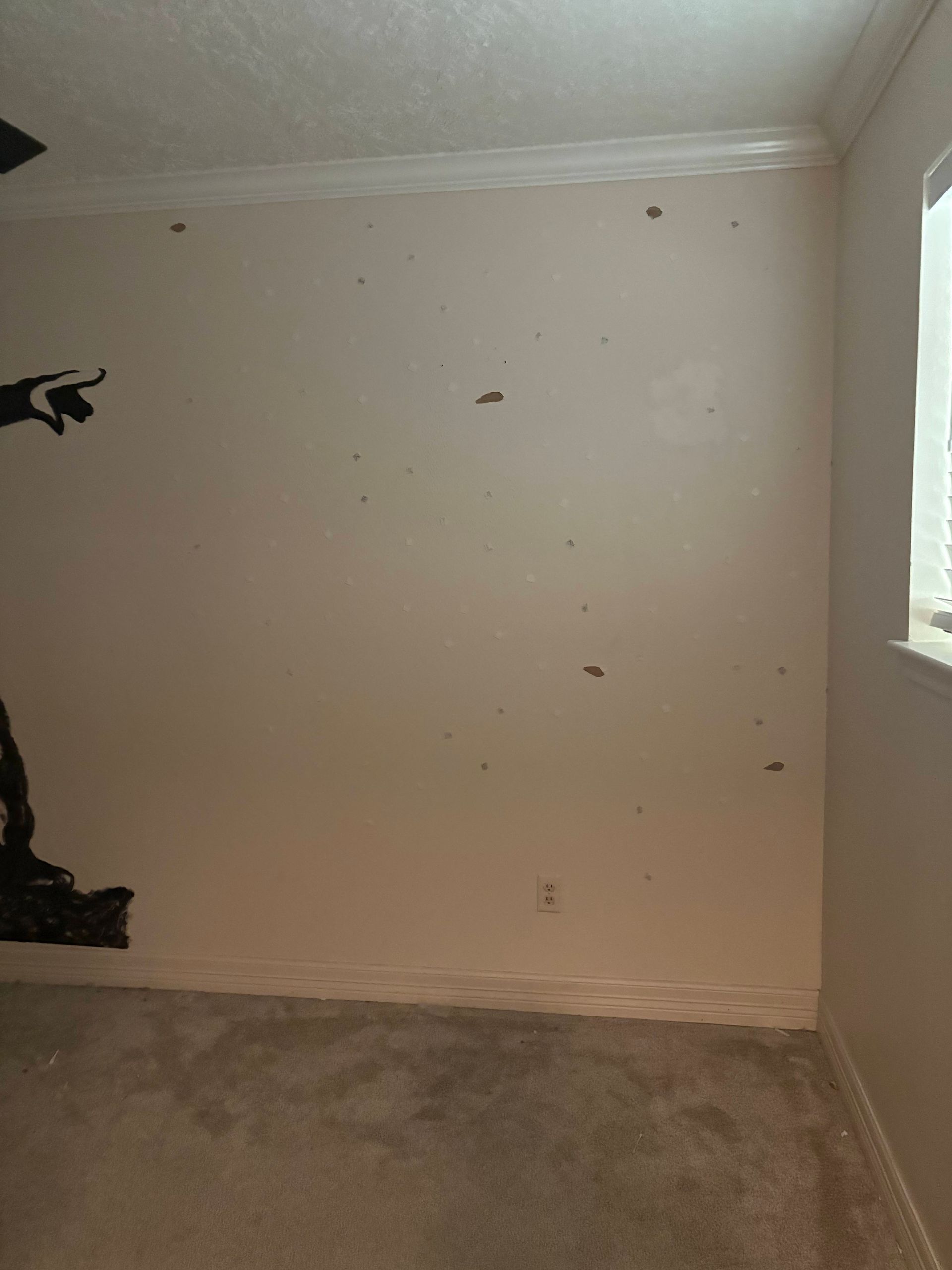 Bare off-white interior wall with damage, molding, and carpeted floor. A window is on the right.