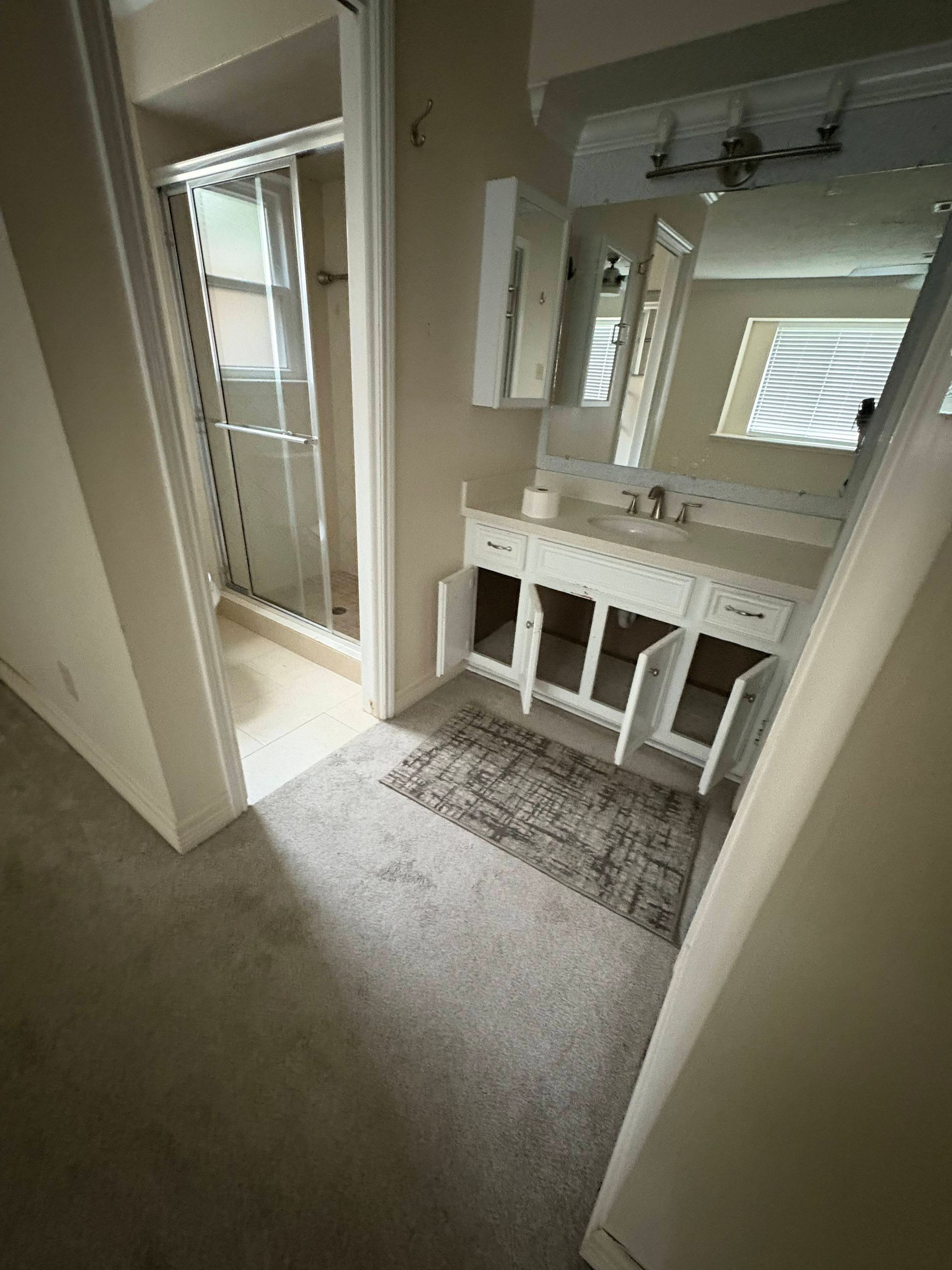 Bathroom with a shower, vanity with open cabinets, and a rug on the carpeted floor.