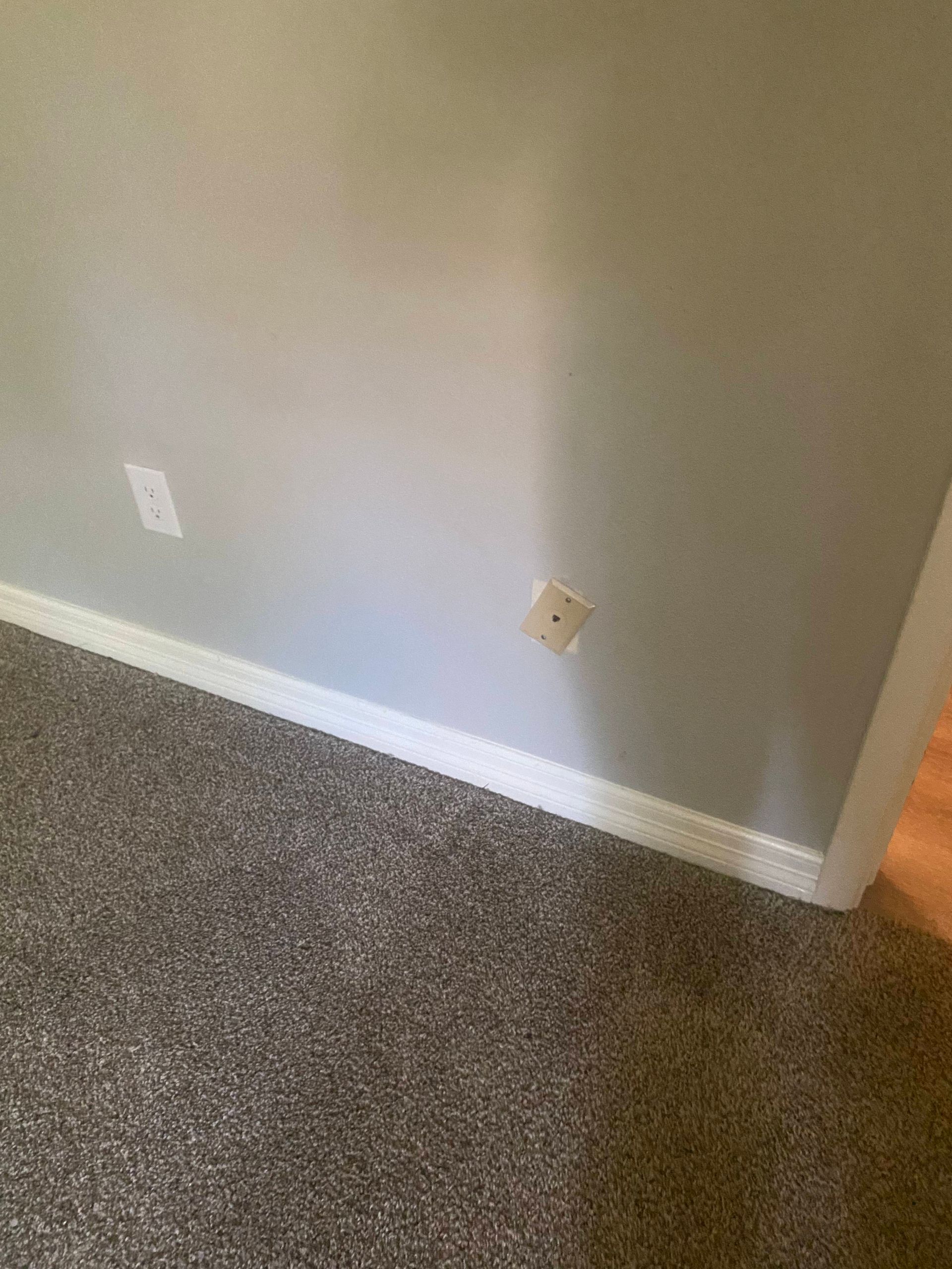 Light gray wall with a light switch and a tan outlet on a white baseboard above brown carpet.