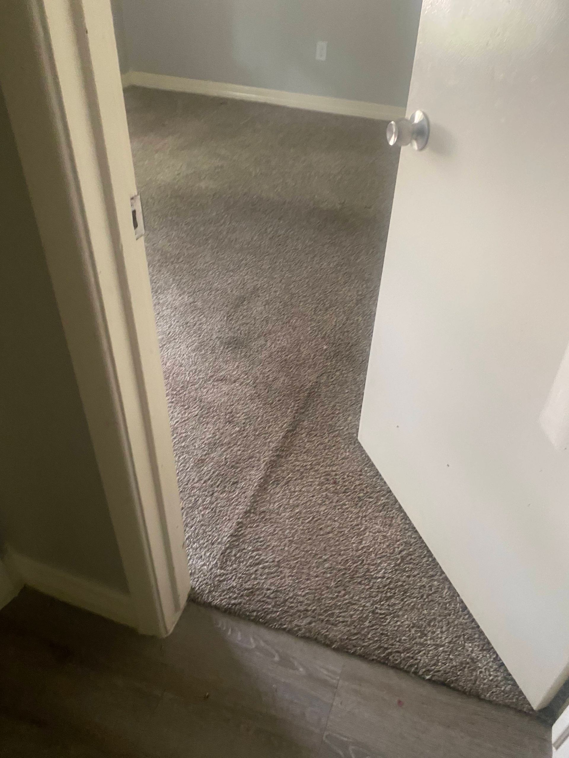 Doorway to a room with new, brown carpet. White door frame and gray walls.