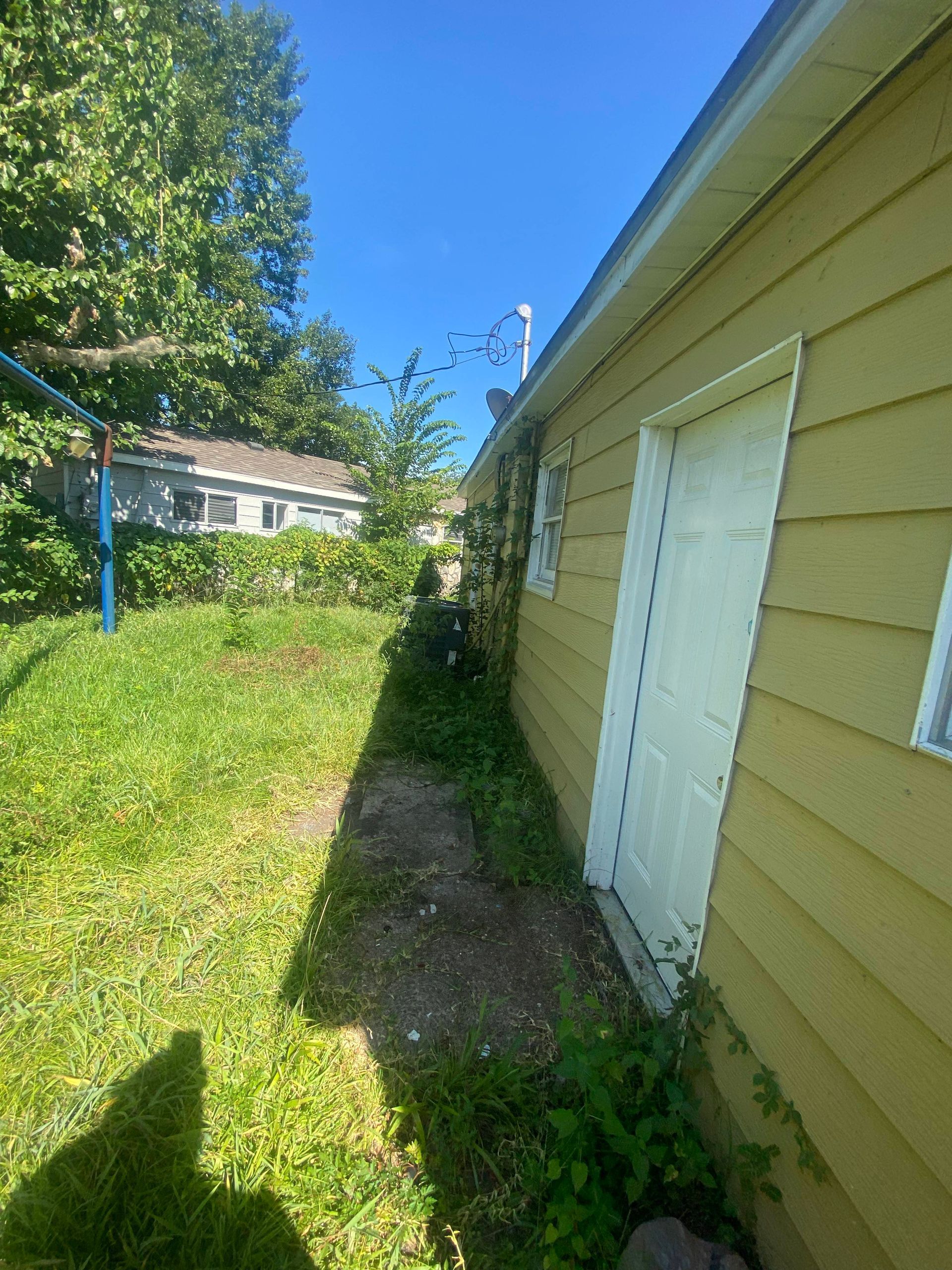 Yellow building with a white door, narrow path, and tall grass in a sunny yard.
