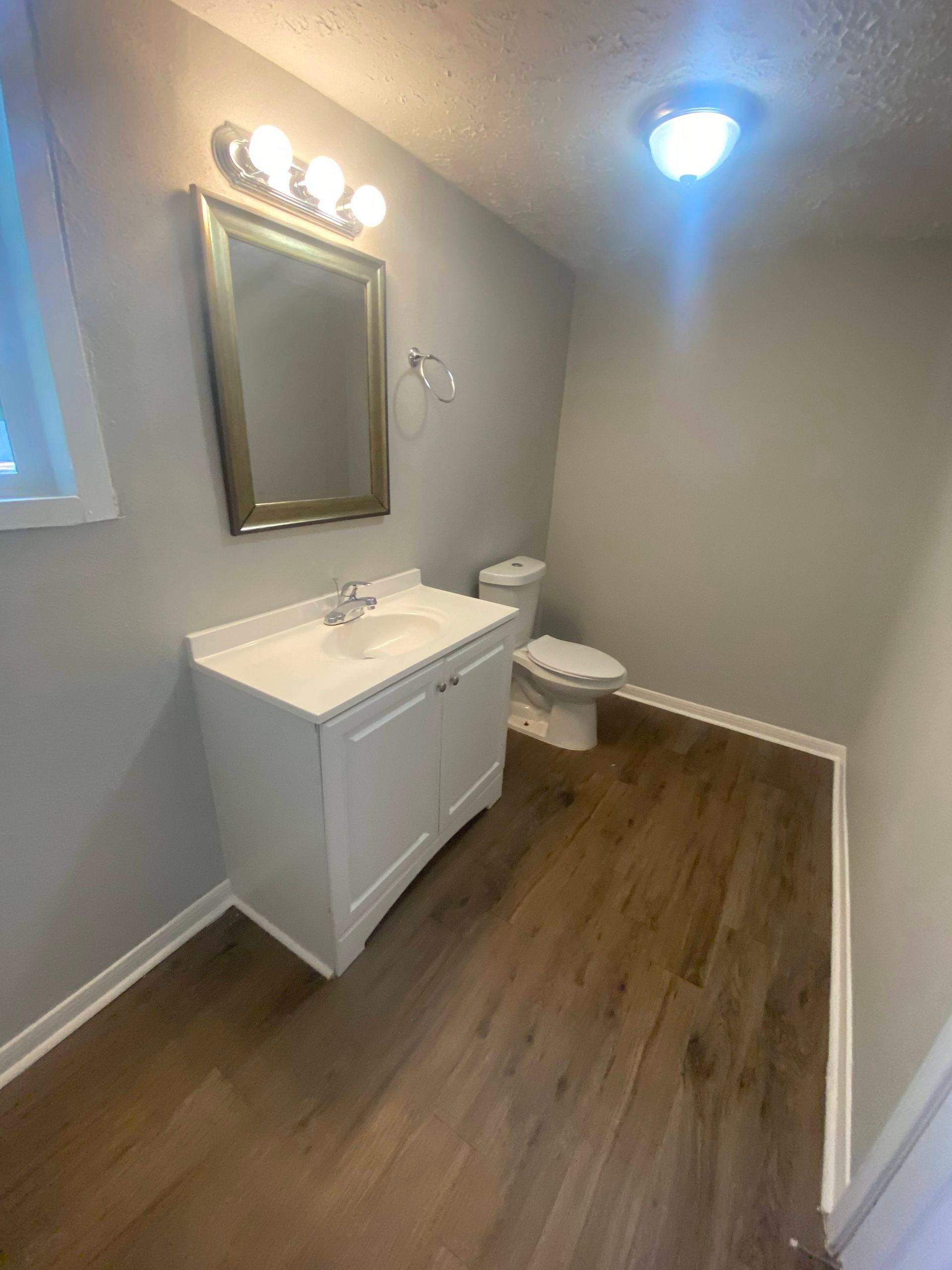 Bathroom with white vanity, toilet, mirror, and wood-look flooring; gray walls.