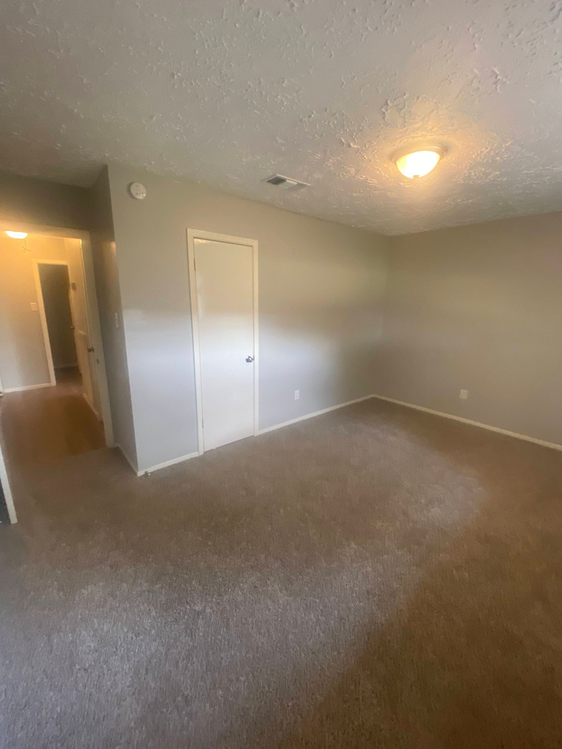 Empty room with gray walls, beige carpet, white door, and hallway entrance.