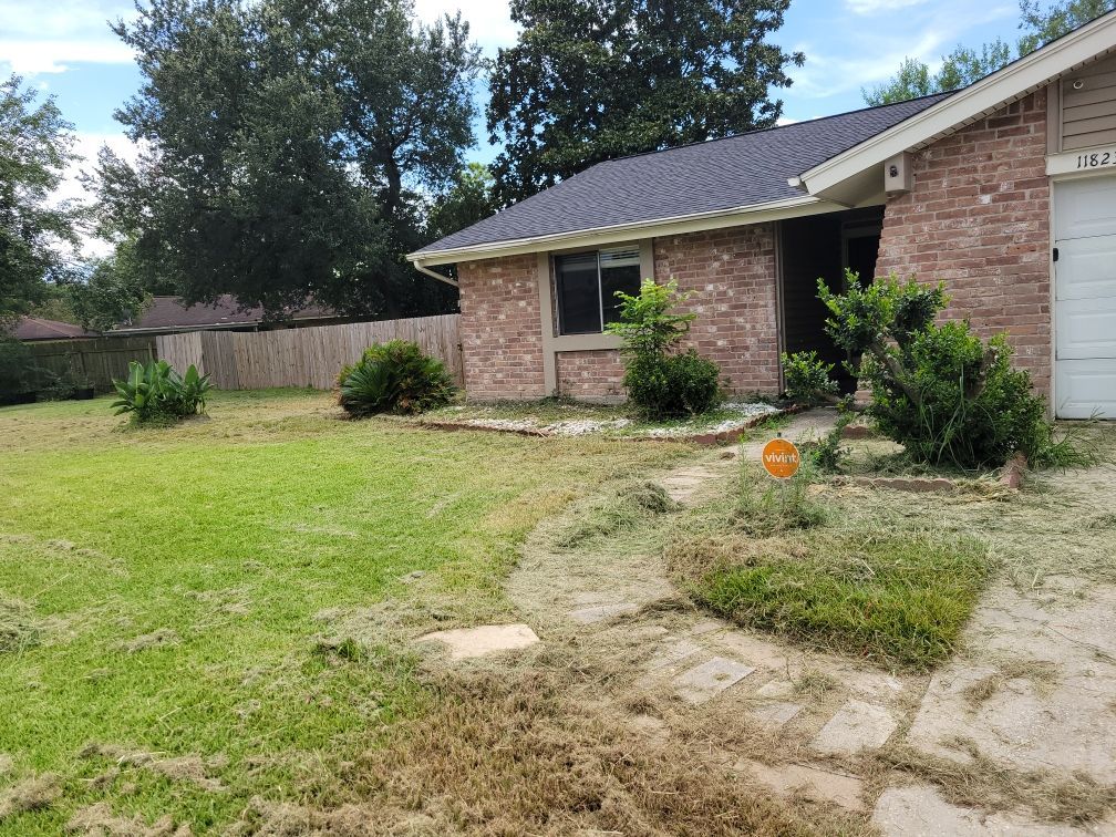 A brick house with a lawn needing maintenance; green grass and brown clippings are scattered around.