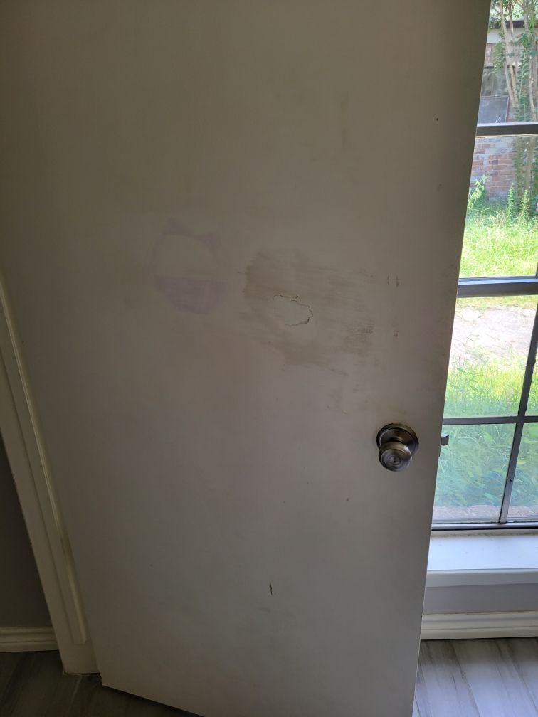 White door with stains, chrome doorknob, and a window with a view of greenery.