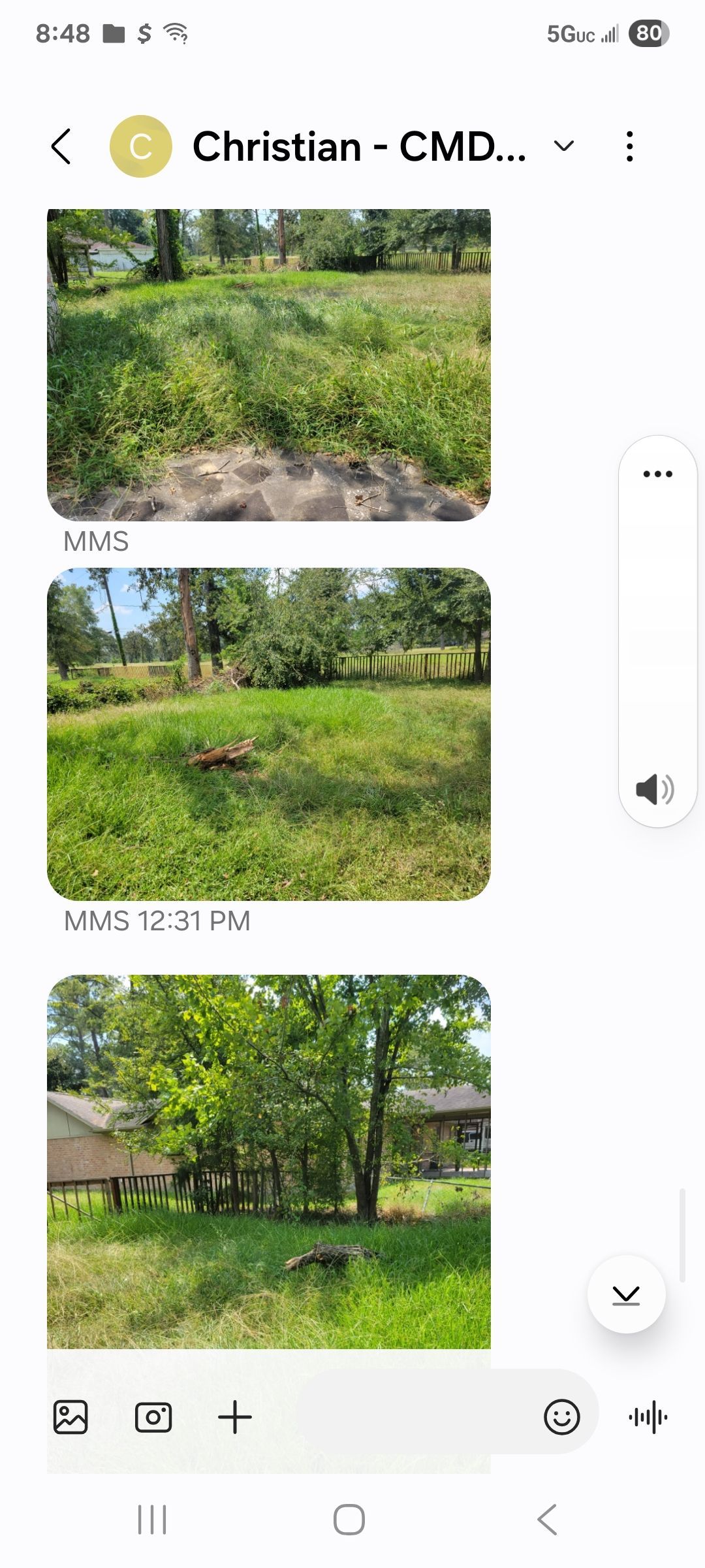 Three photos of grassy areas taken outdoors.