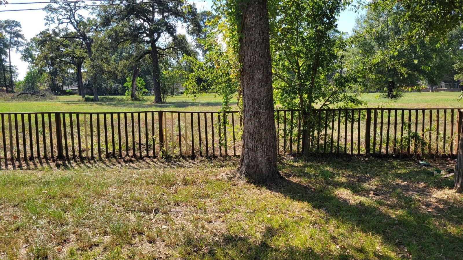 Wooden fence surrounds a grassy field with trees. A tree trunk is in the foreground.