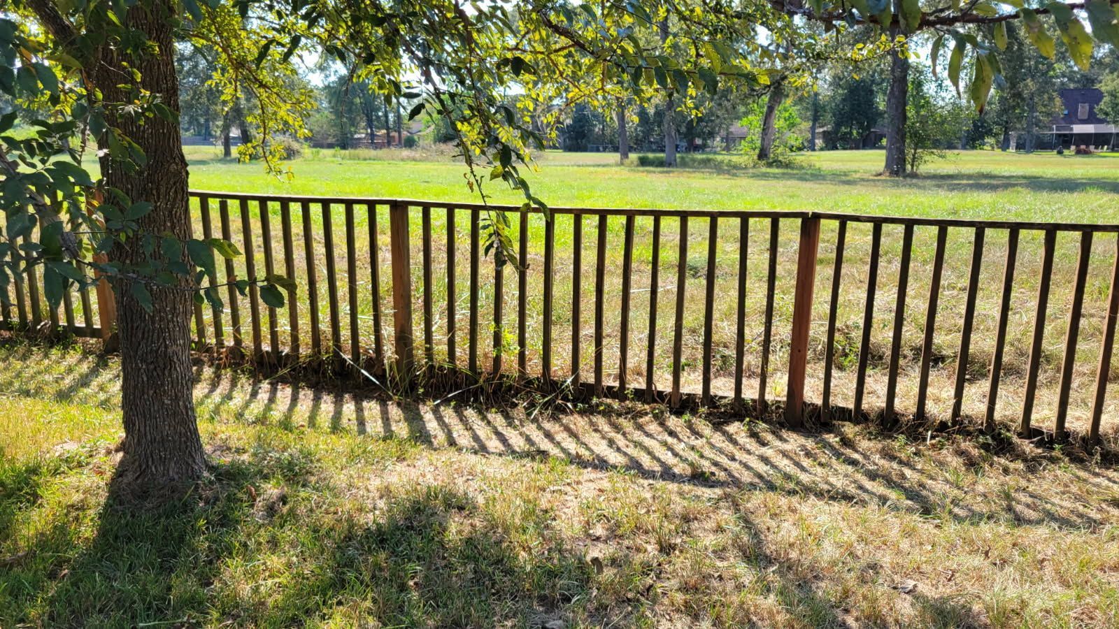 Wooden fence in a sunny field, tree in the foreground casting shadows.