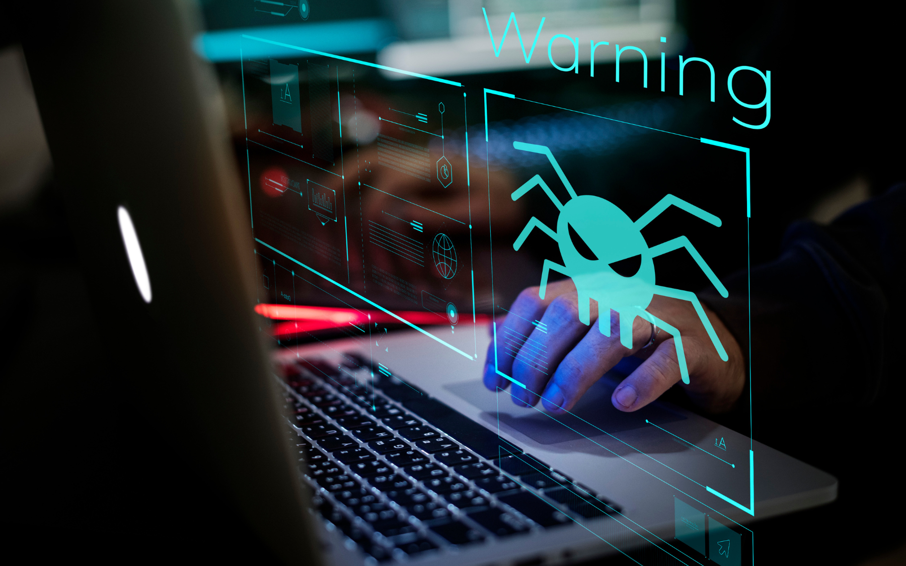 A person is typing on a laptop computer with a spider on the screen.