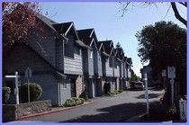 Row of gray townhouses with gabled roofs, on a sunny street, trees and bushes.