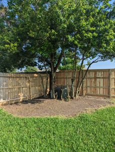 A backyard with a wooden fence and a tree in the middle of it.