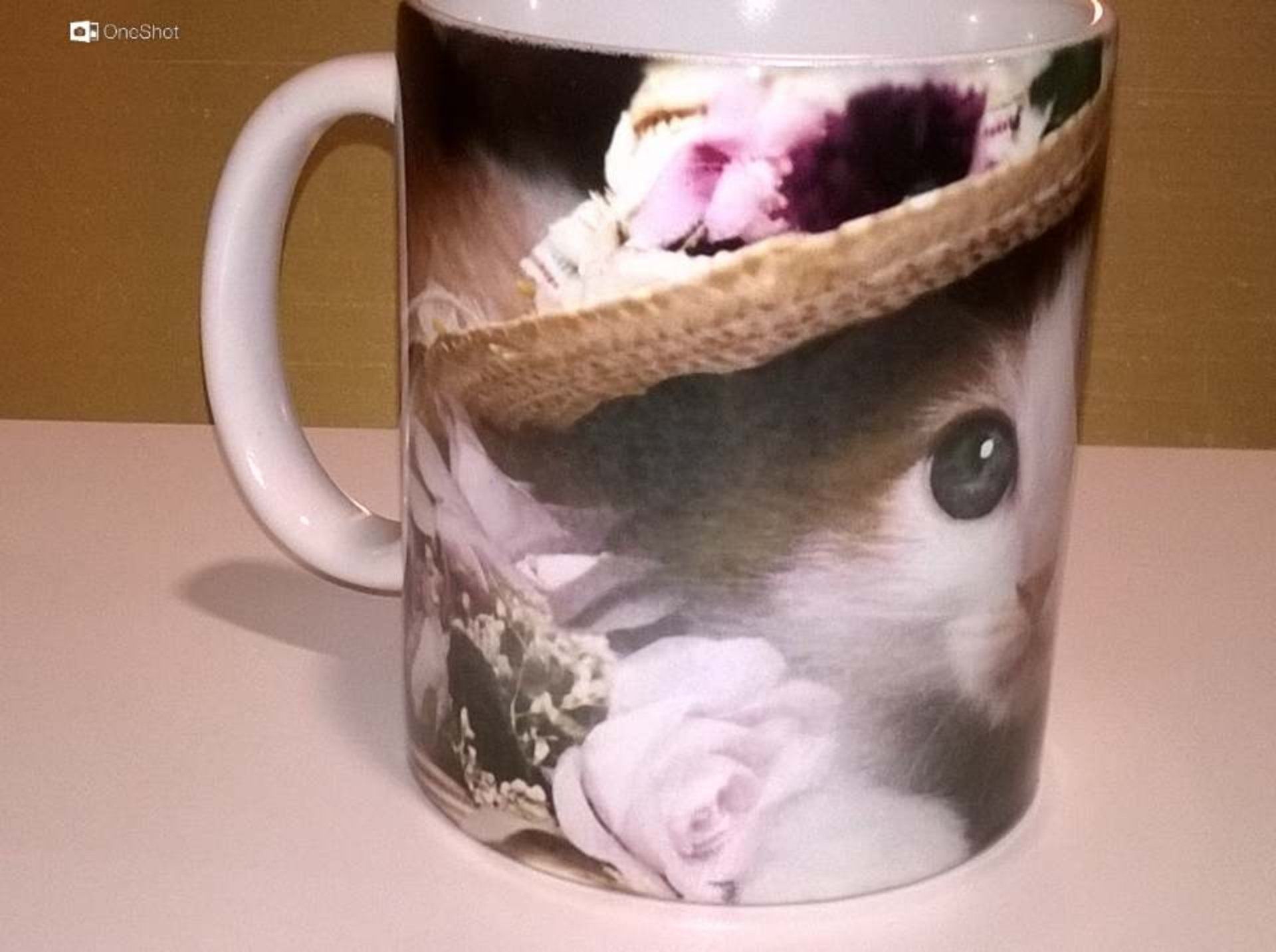 tazza con foto micetto