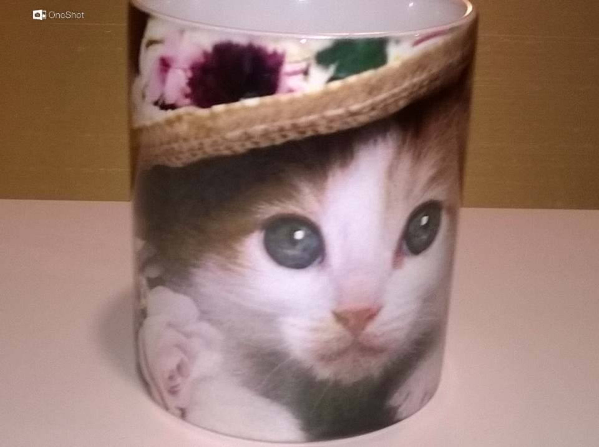 tazza con foto gattino
