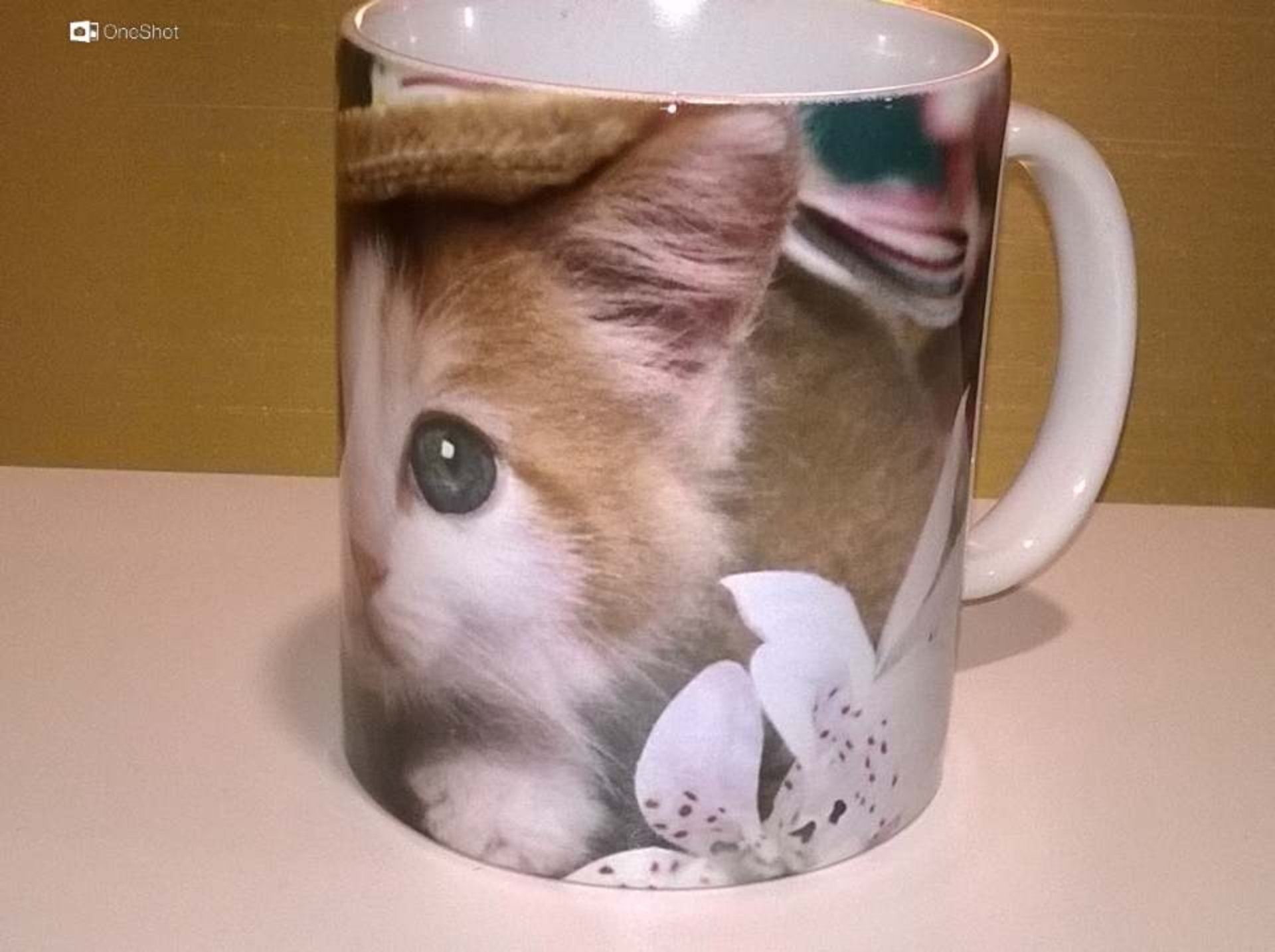 tazza con stampa gatto