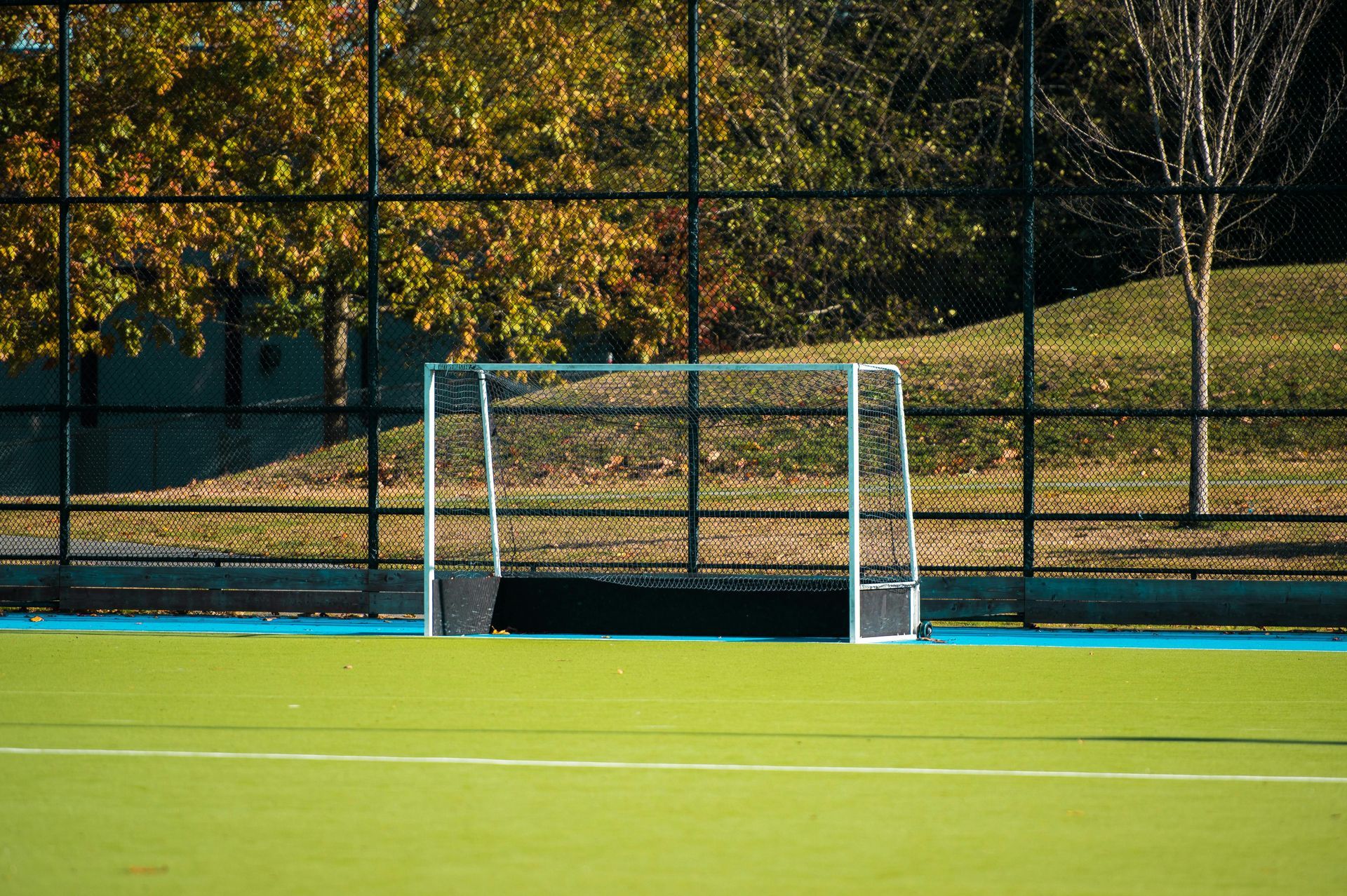 Empty soccer goal on a green field with a chain-link fence and autumn trees behind it