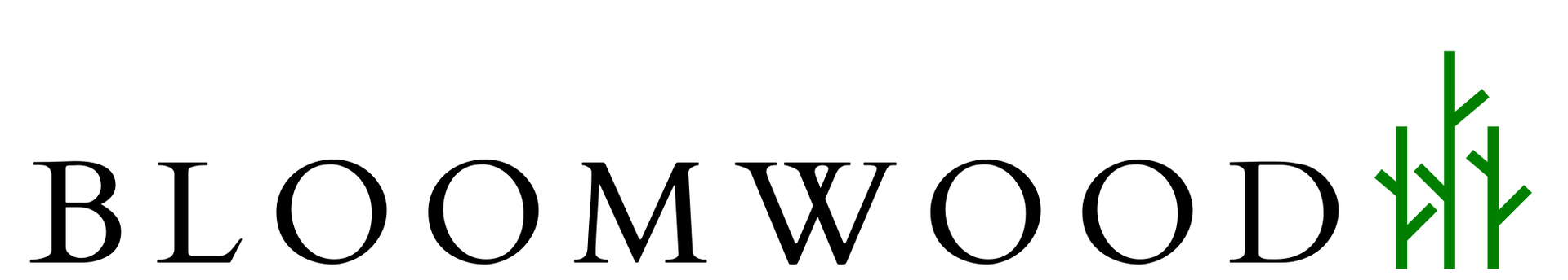 Bloomwood Capital Advisors logo