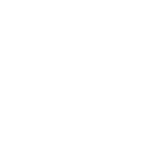 Professionalità - Icona